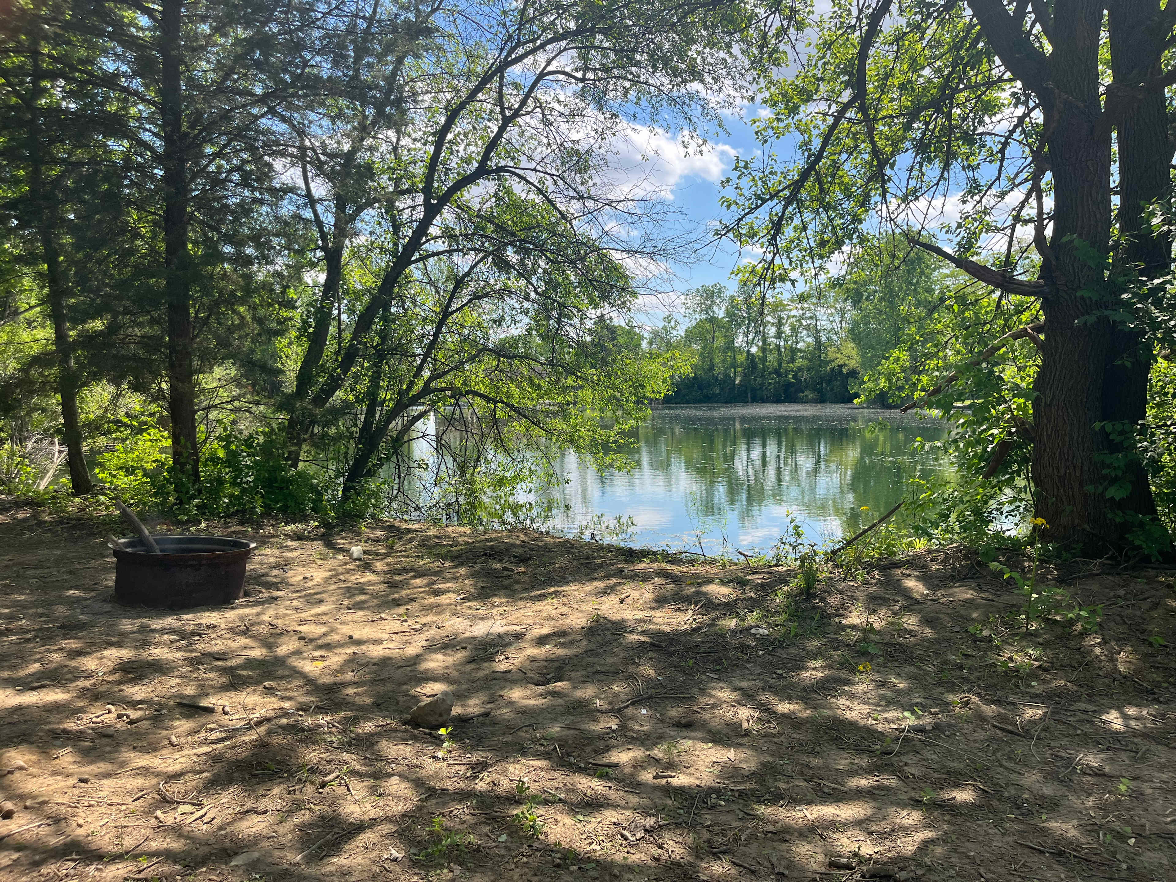 Cattail Springs