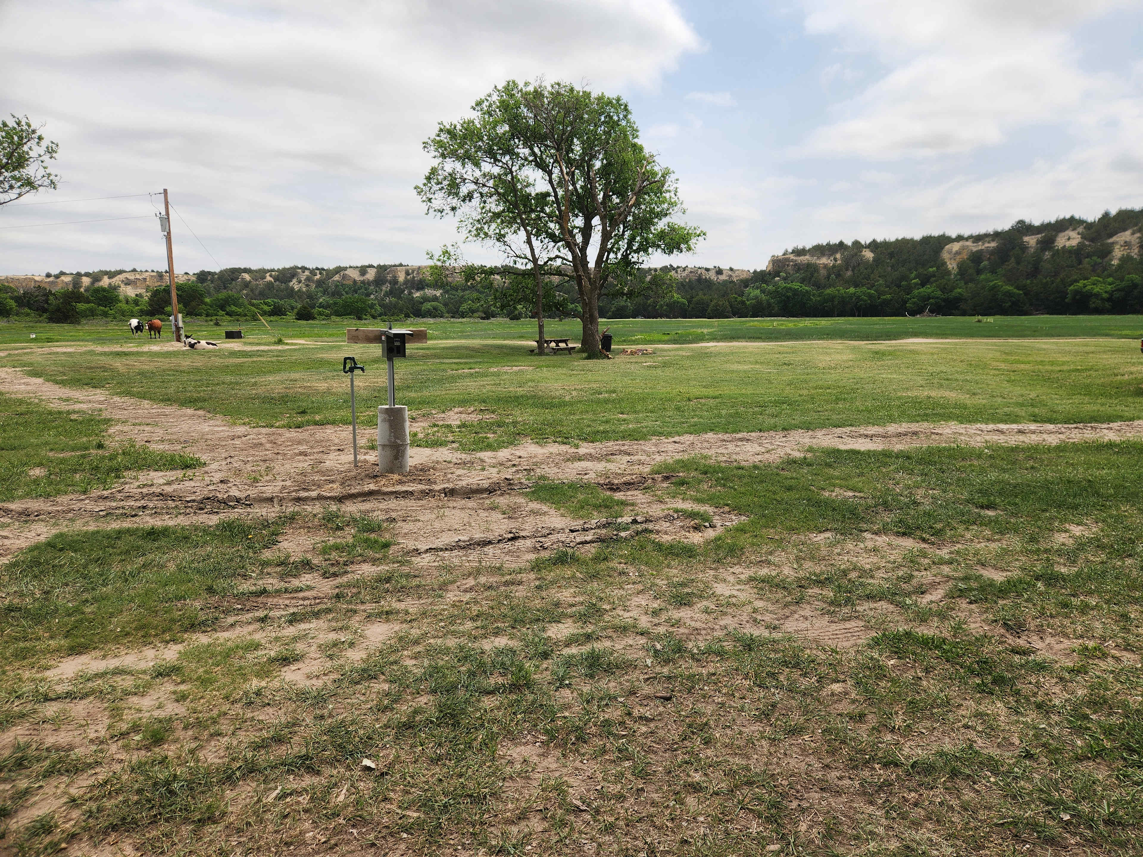 Picture of the site