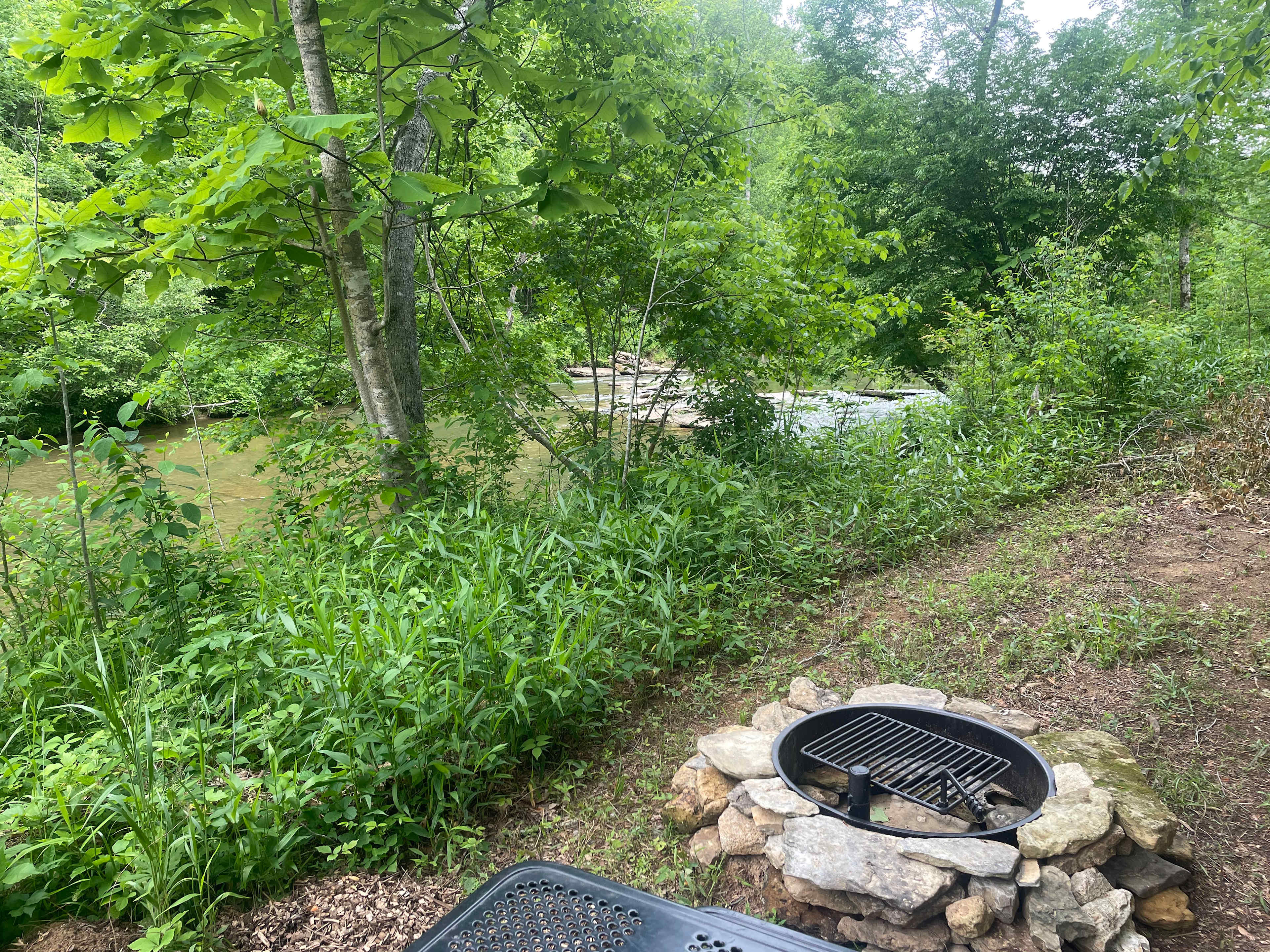 Picture of the site