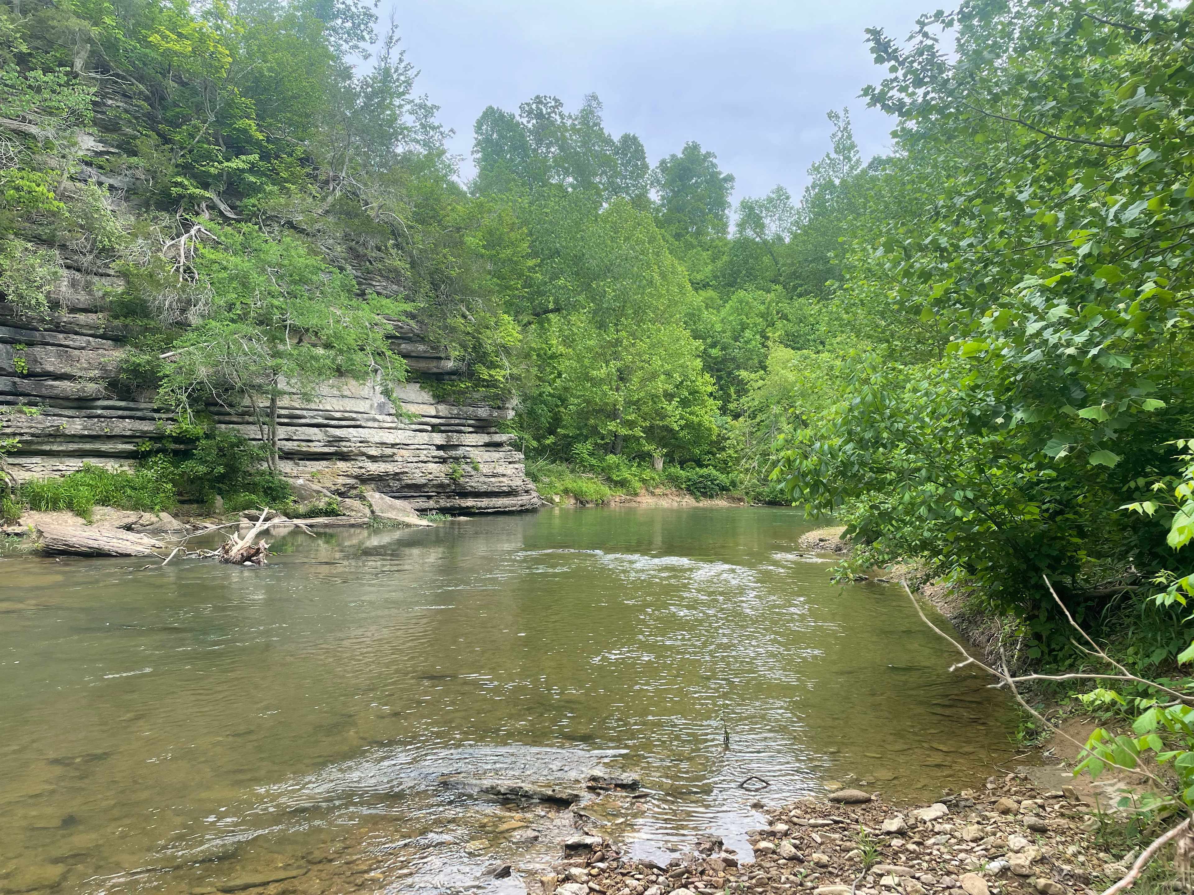 Picture of the site
