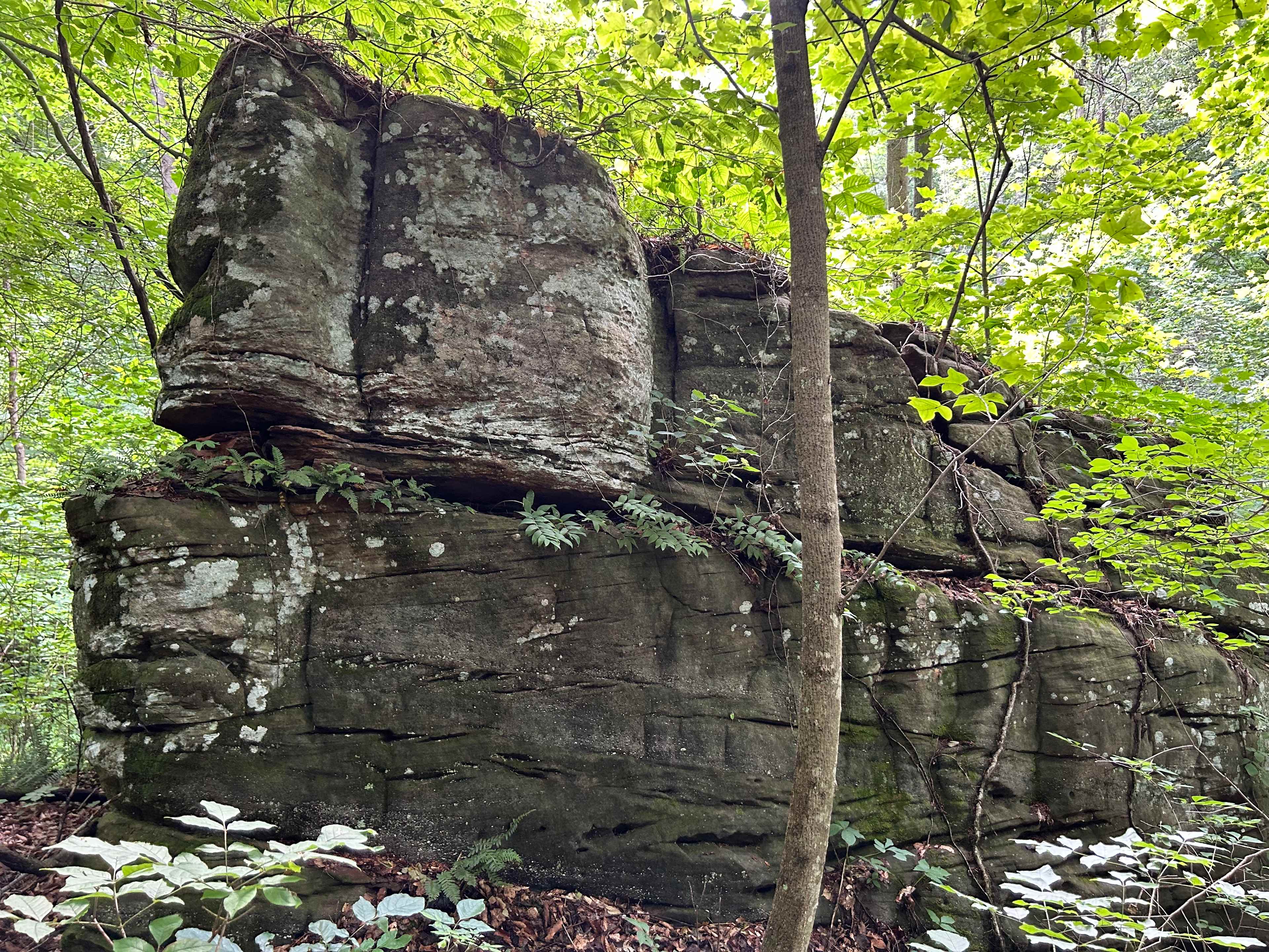 Rockwood