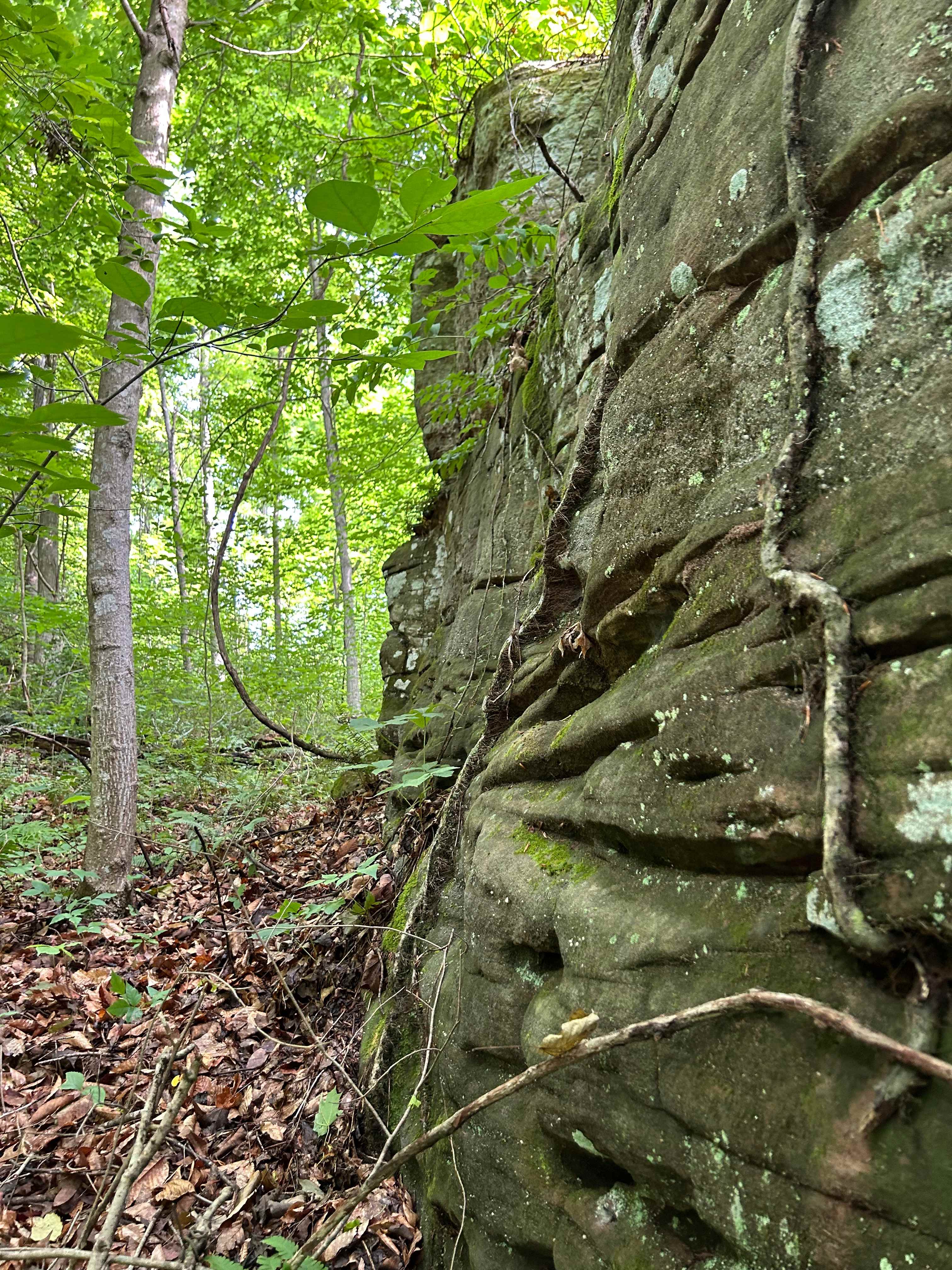 Rockwood