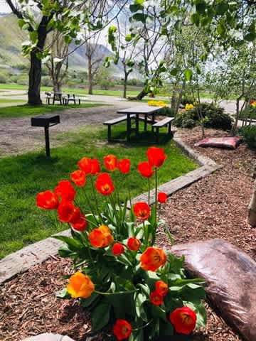 Brigham City KOA - On the Fruit Way