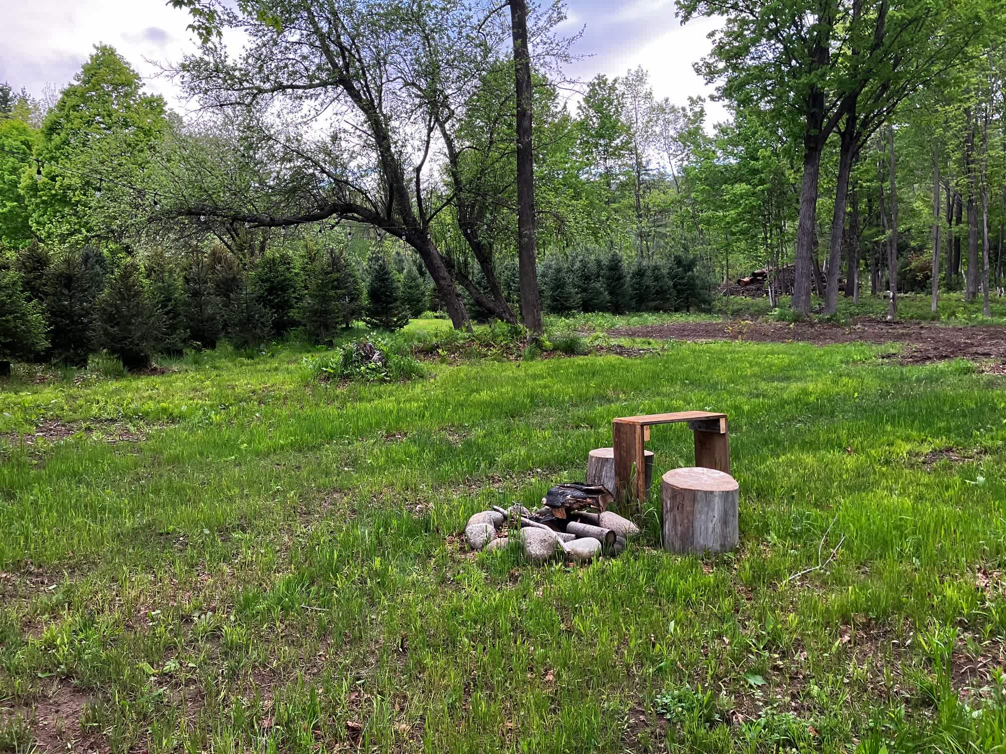 Picture of the site