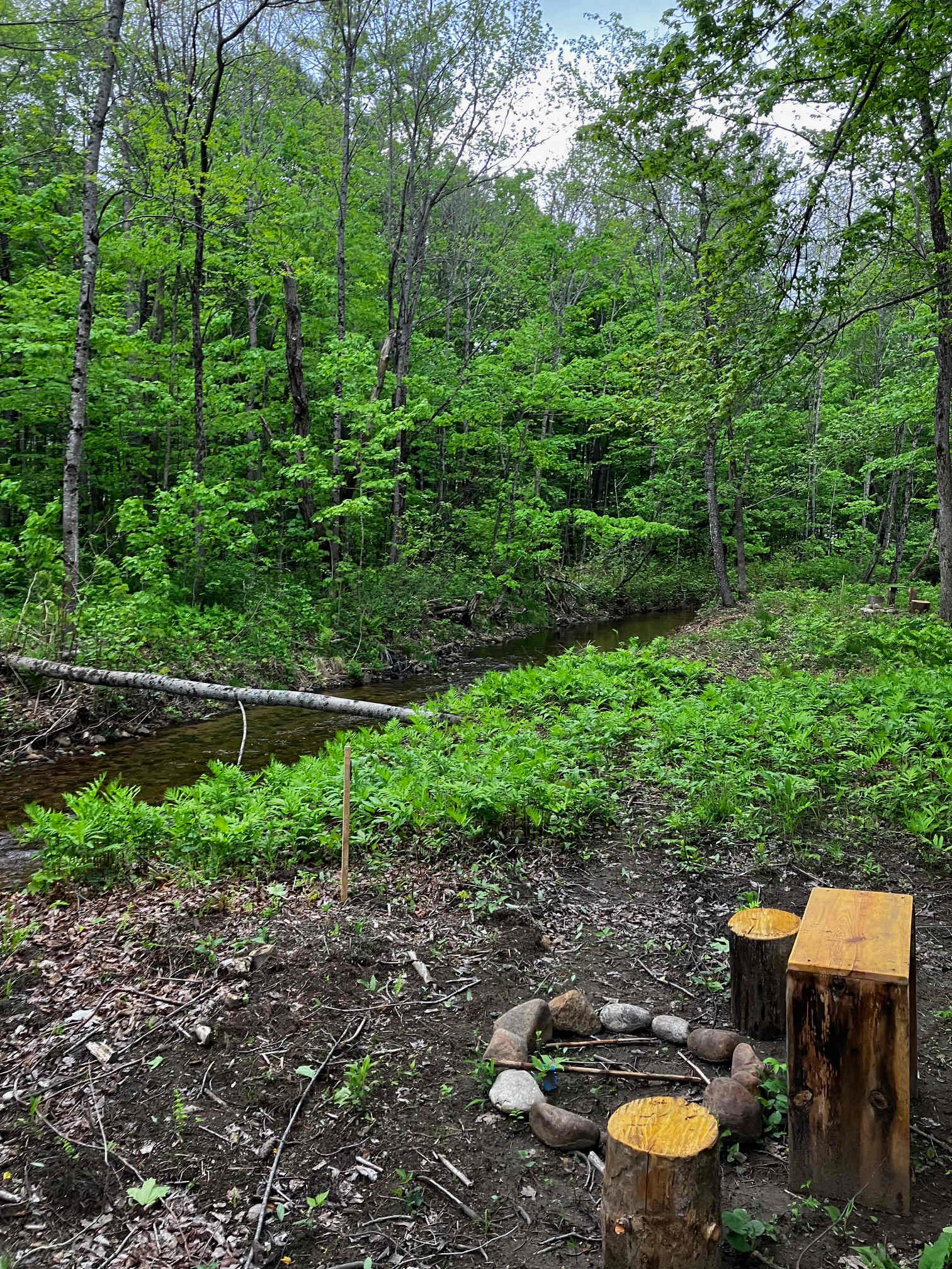 Picture of the site