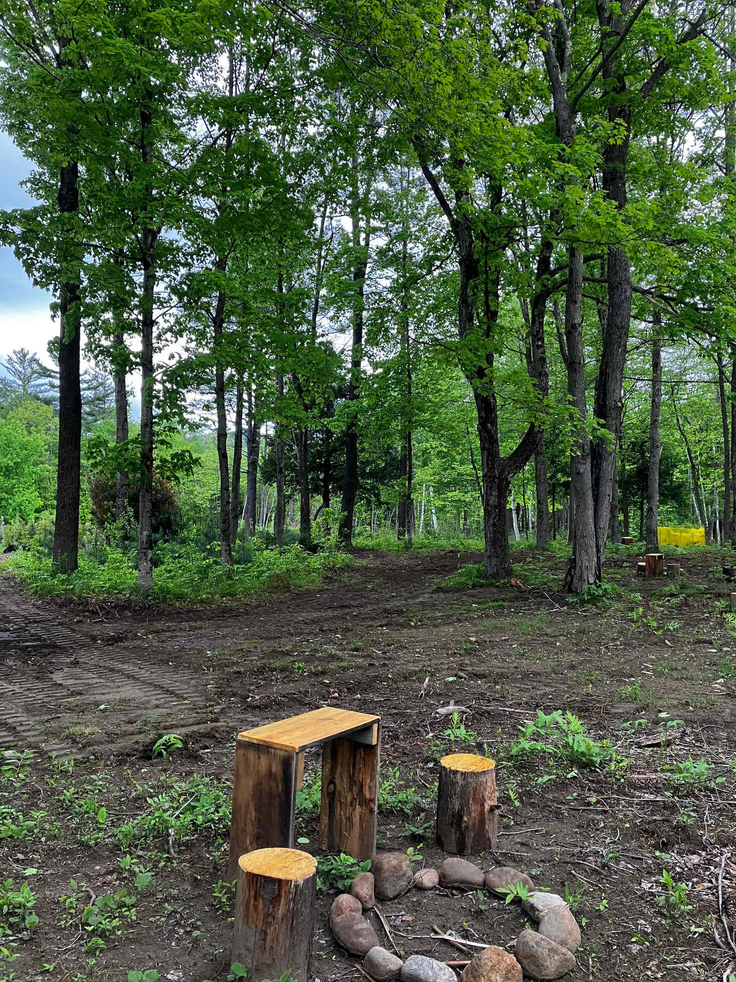 Picture of the site