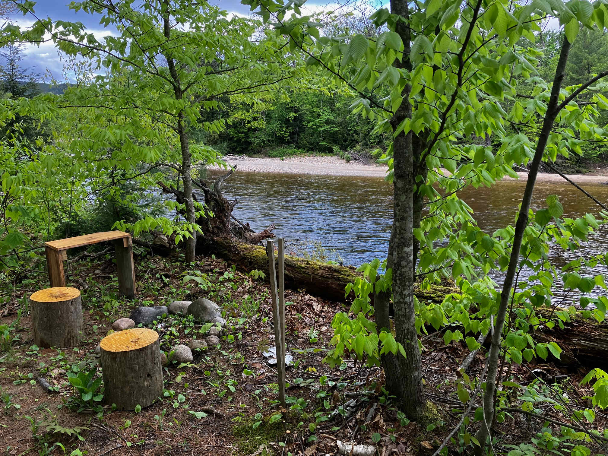 Picture of the site