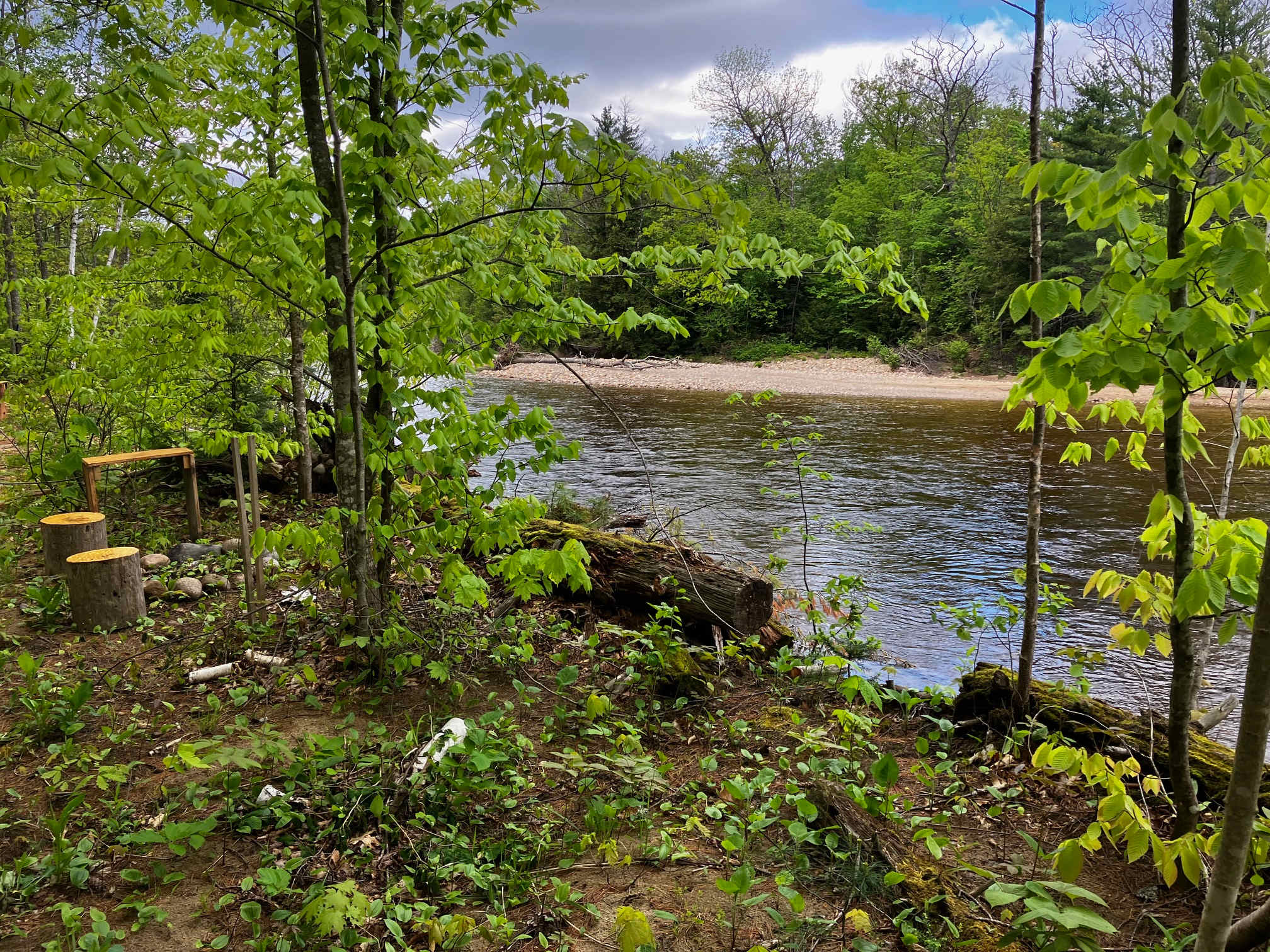Picture of the site