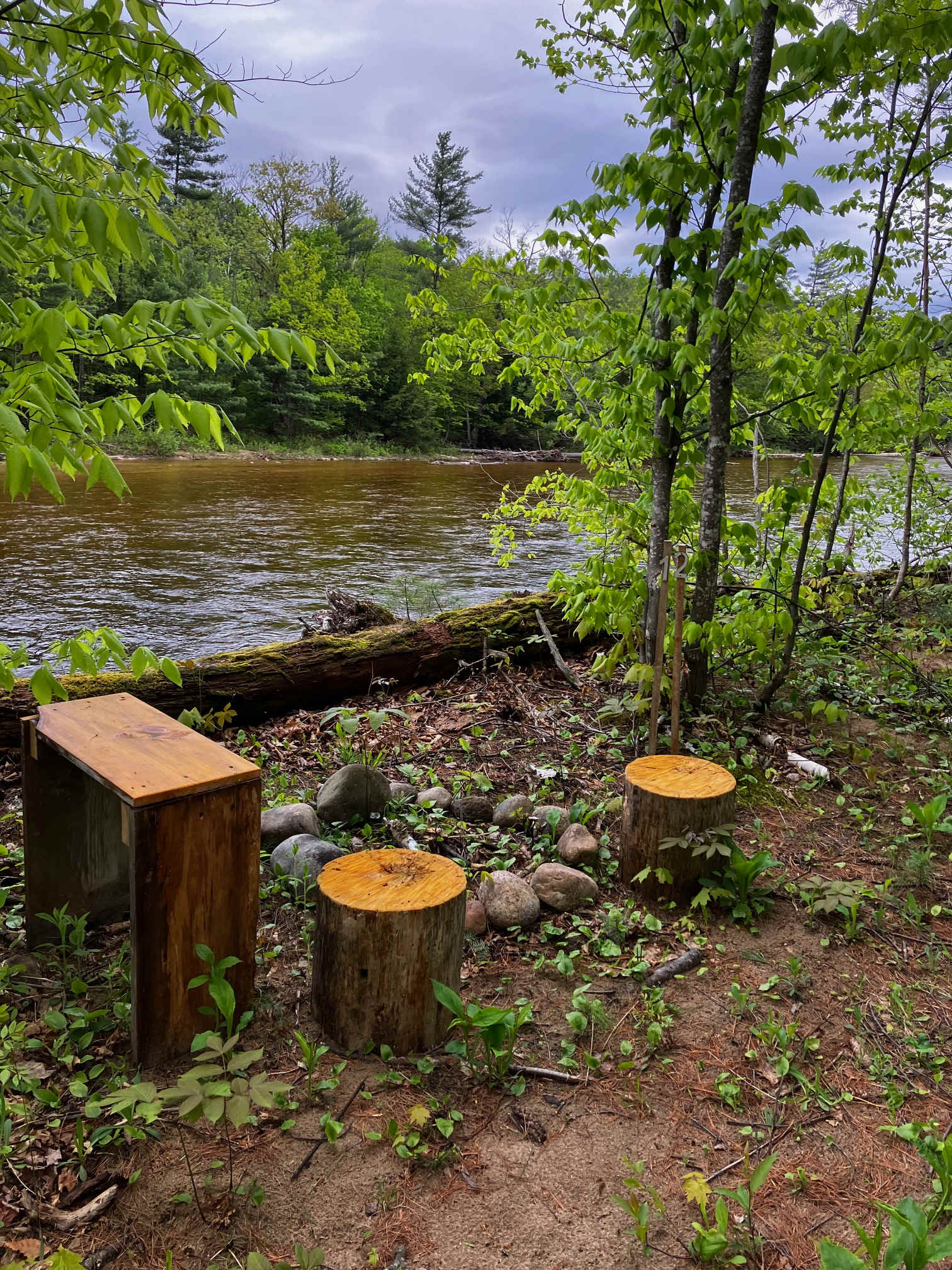 Picture of the site
