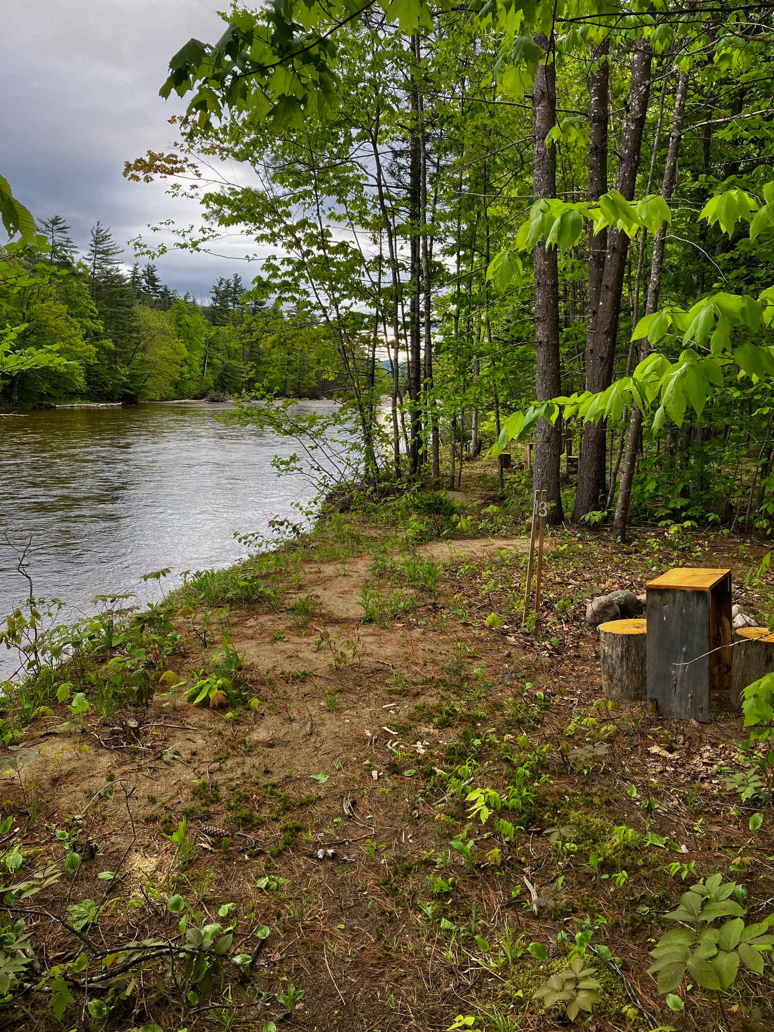 Picture of the site
