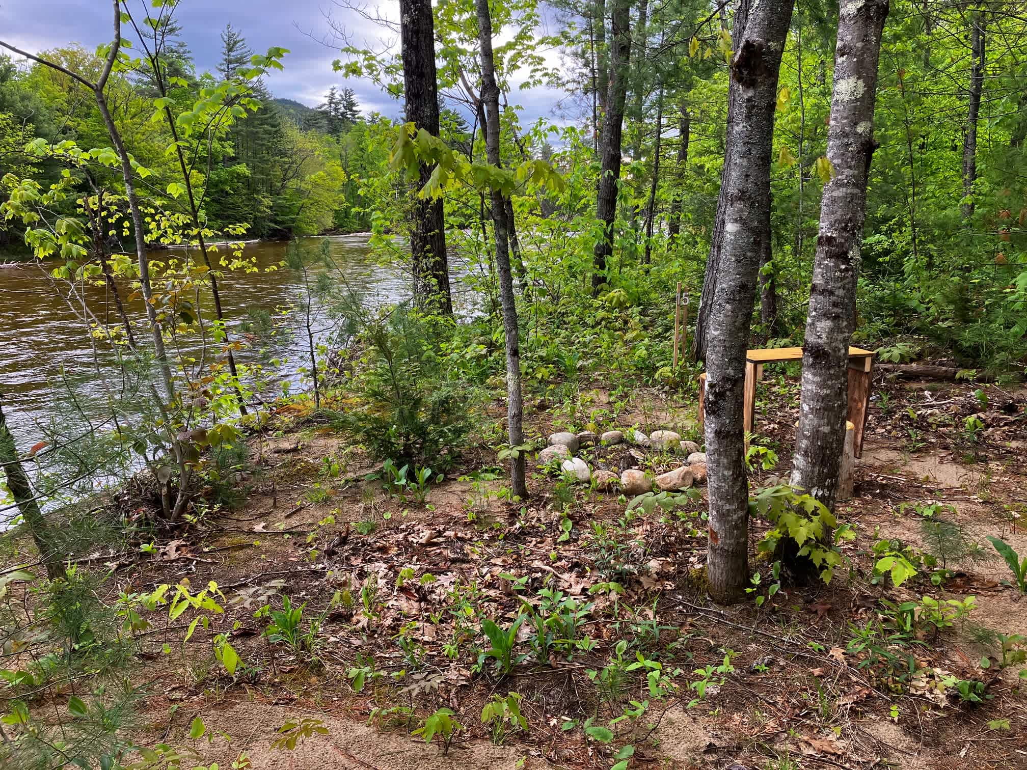 Picture of the site