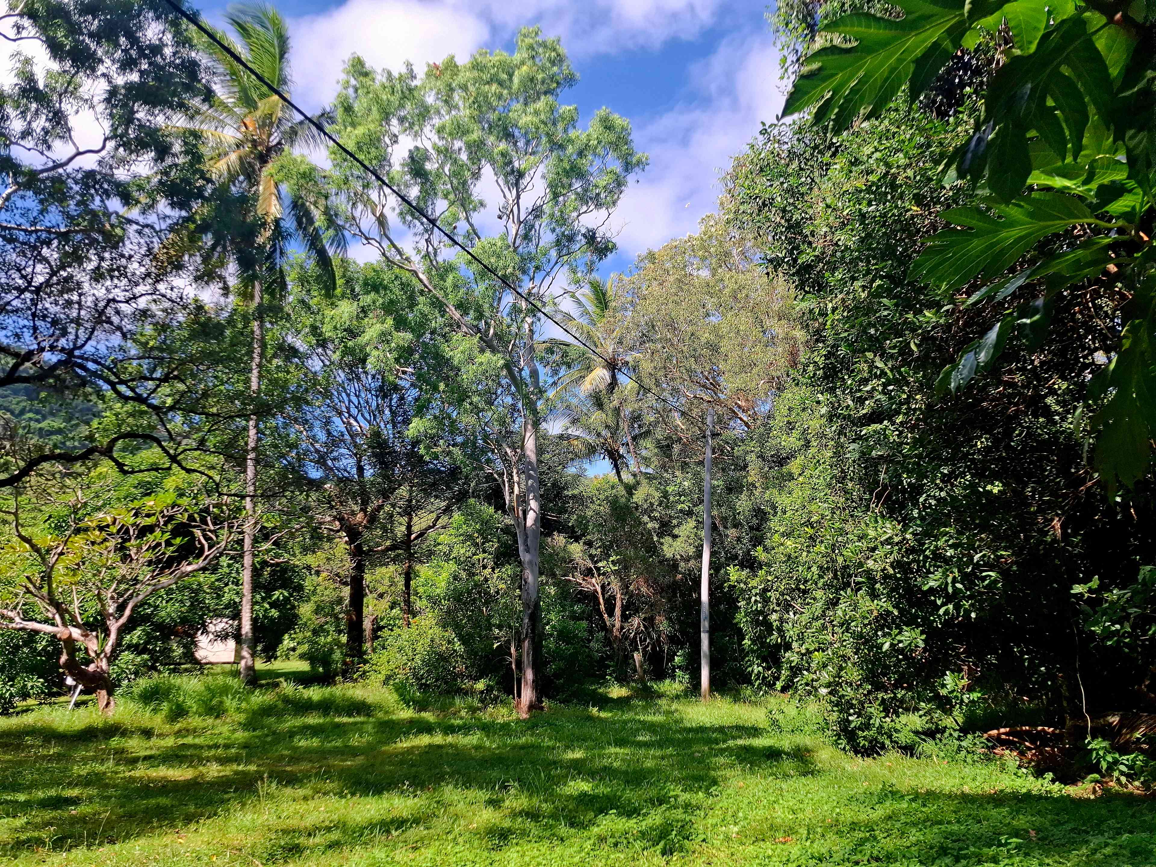 Lush, Quiet, Shady, and All Yours