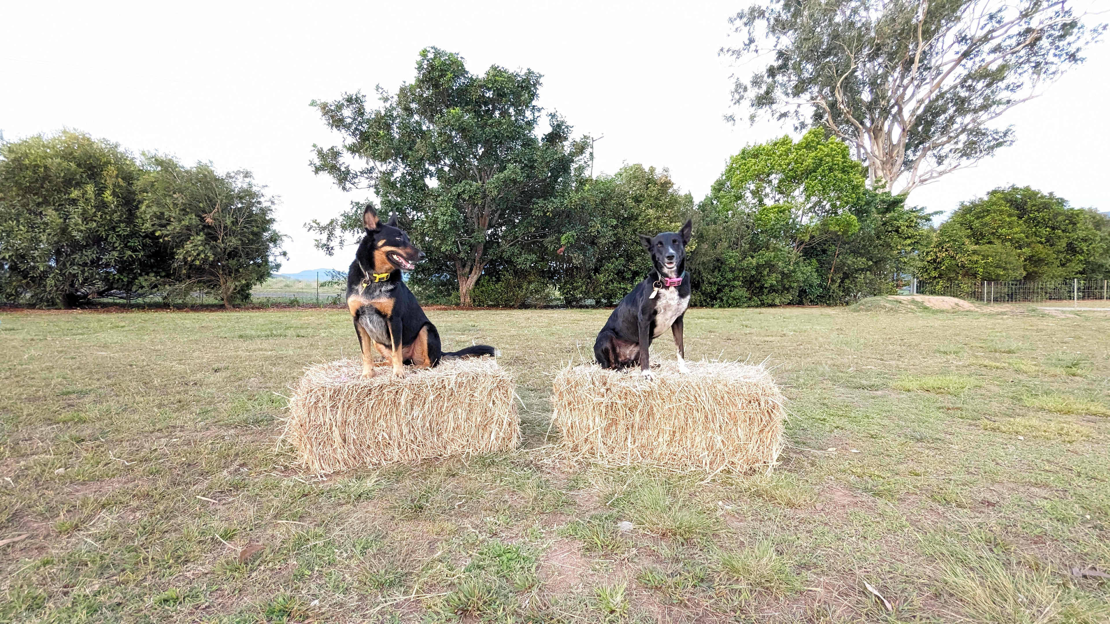 Highleigh Farm Stay