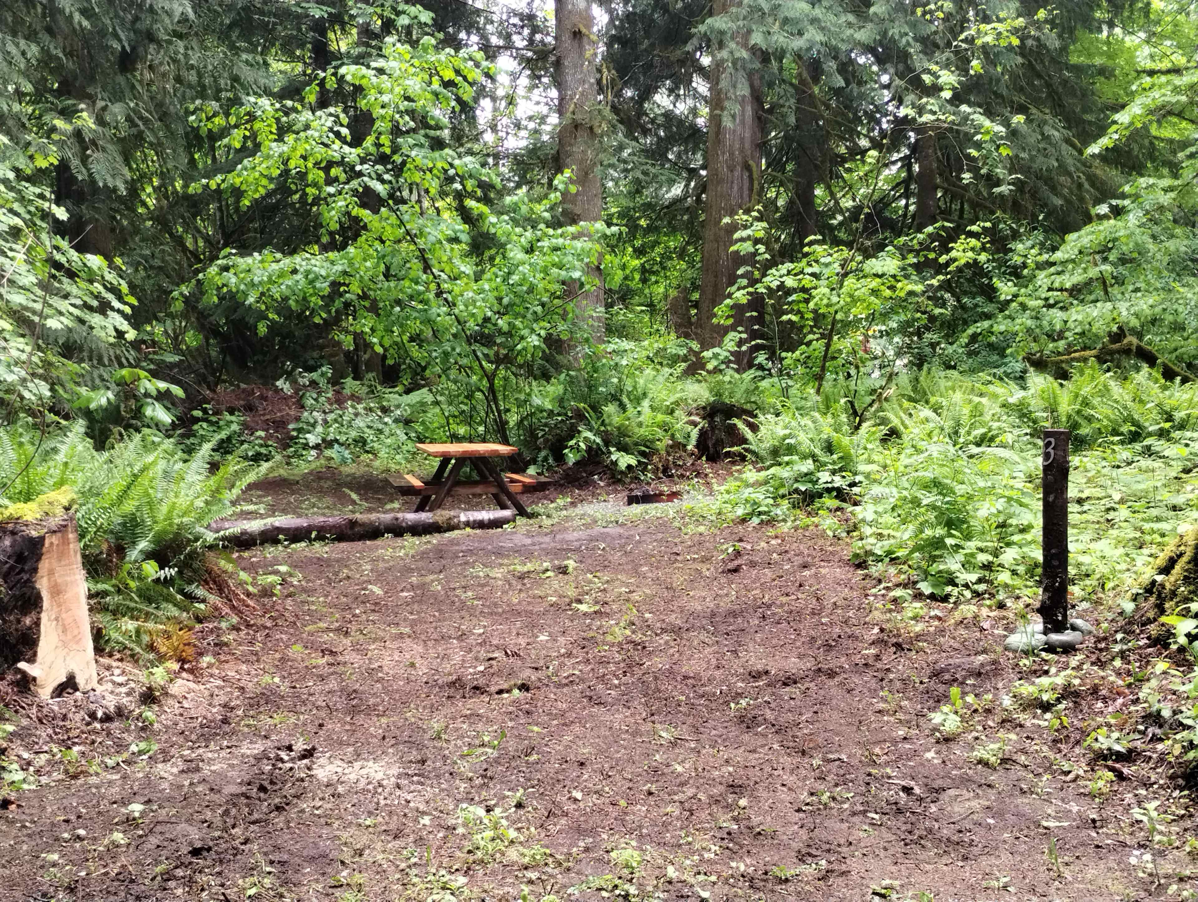 Picture of the site