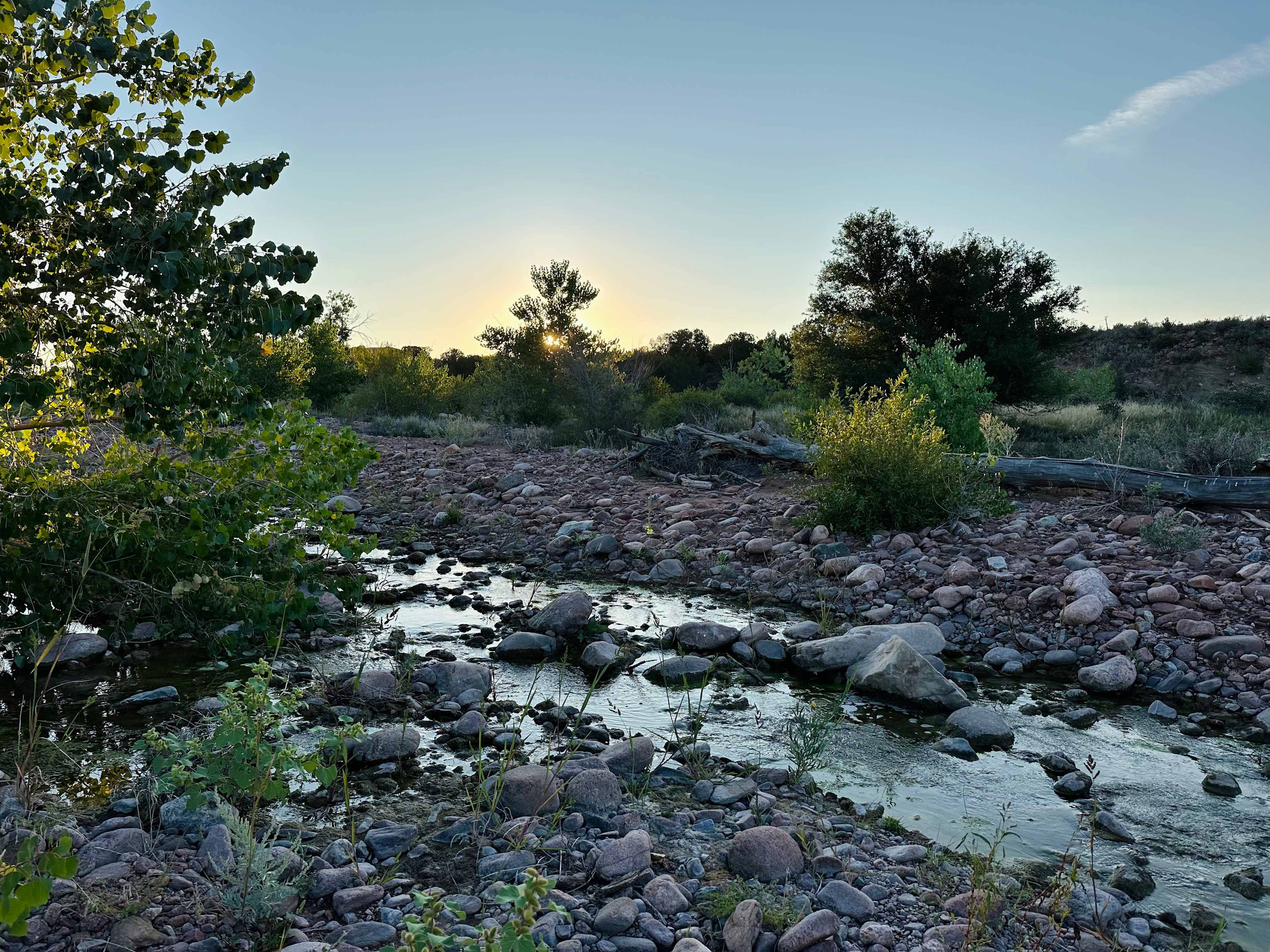 Picture of the site