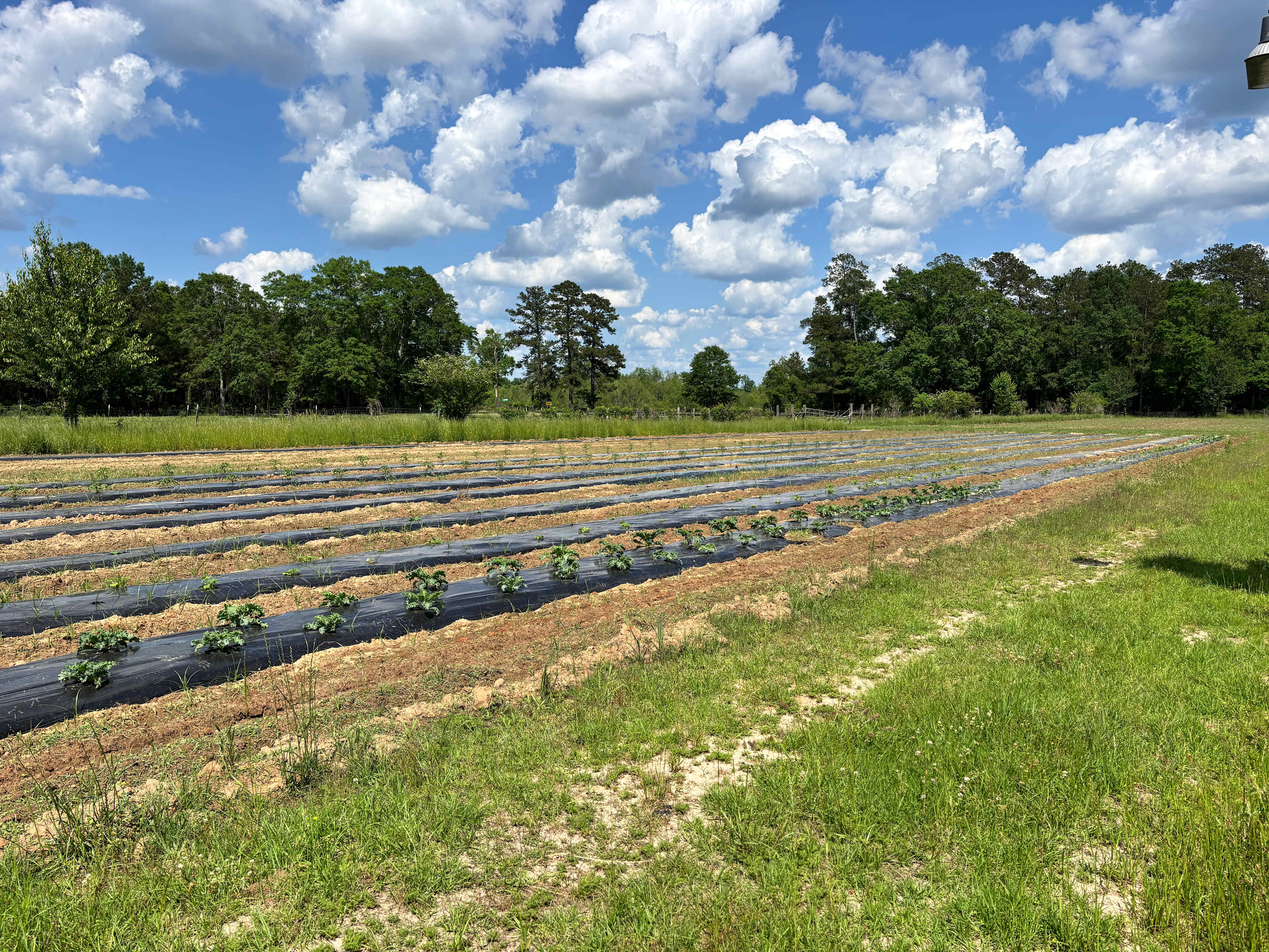 Fulmer's Farmstead & General Store