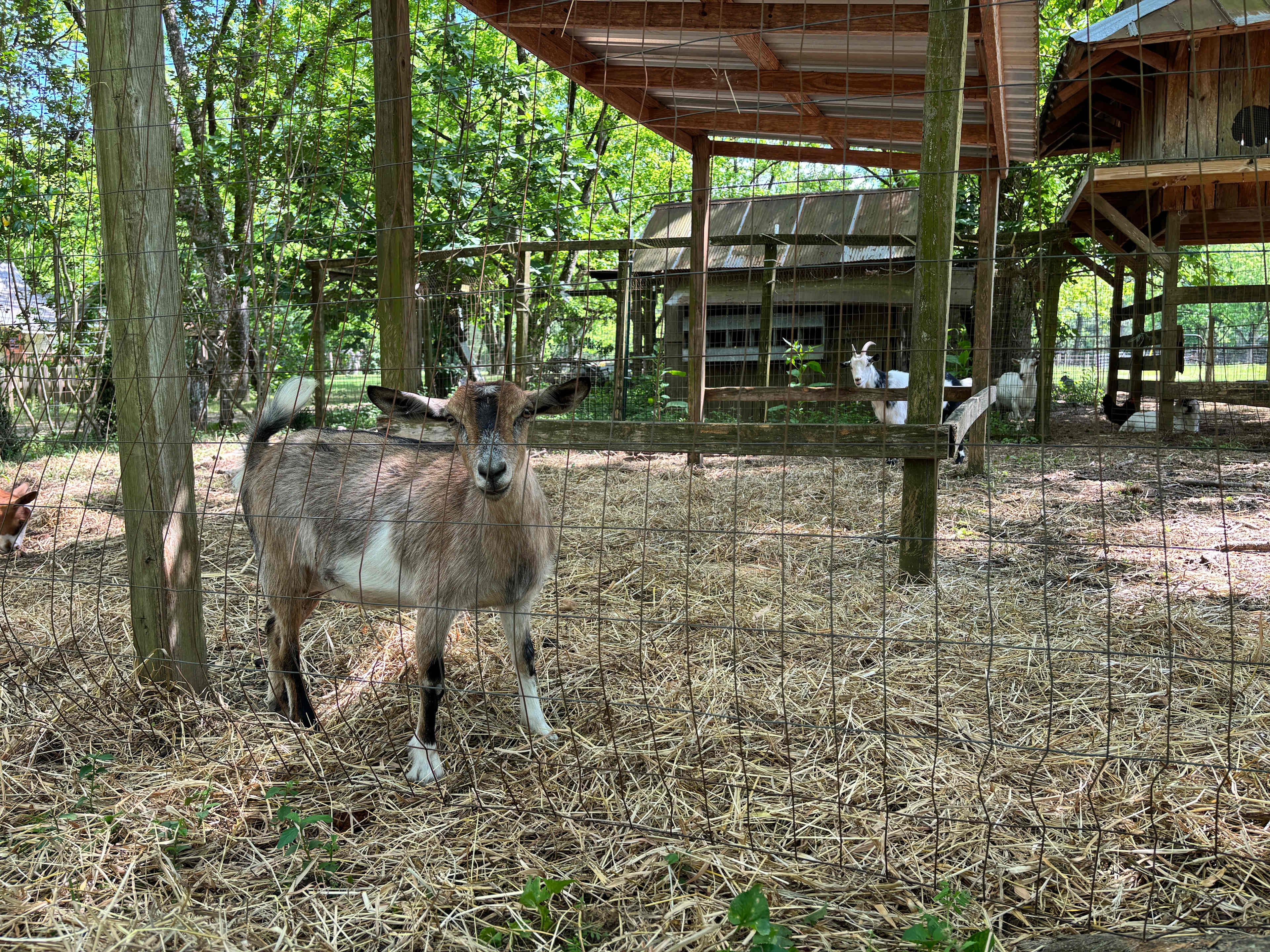 Fulmer's Farmstead & General Store
