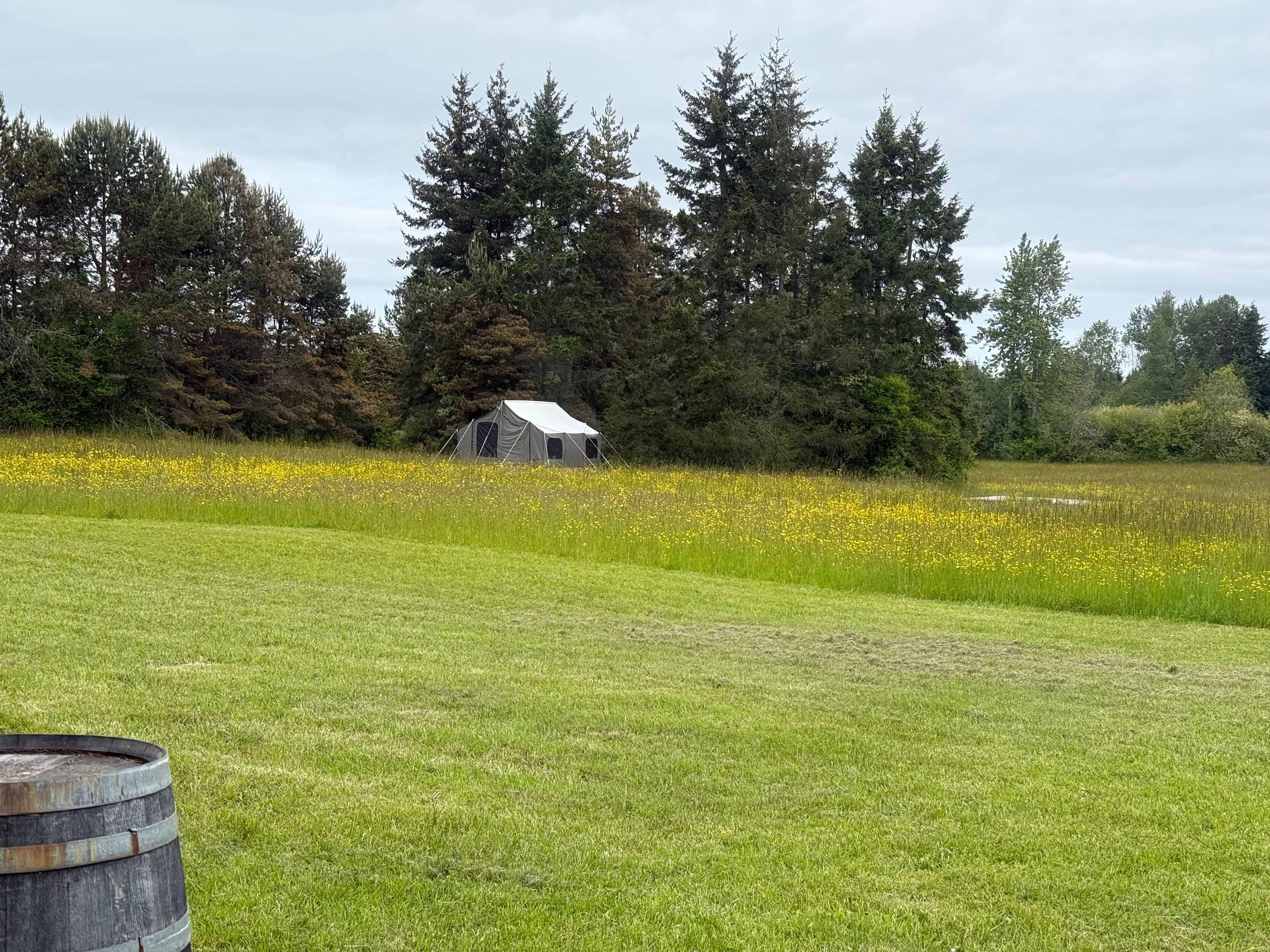 Picture of the site