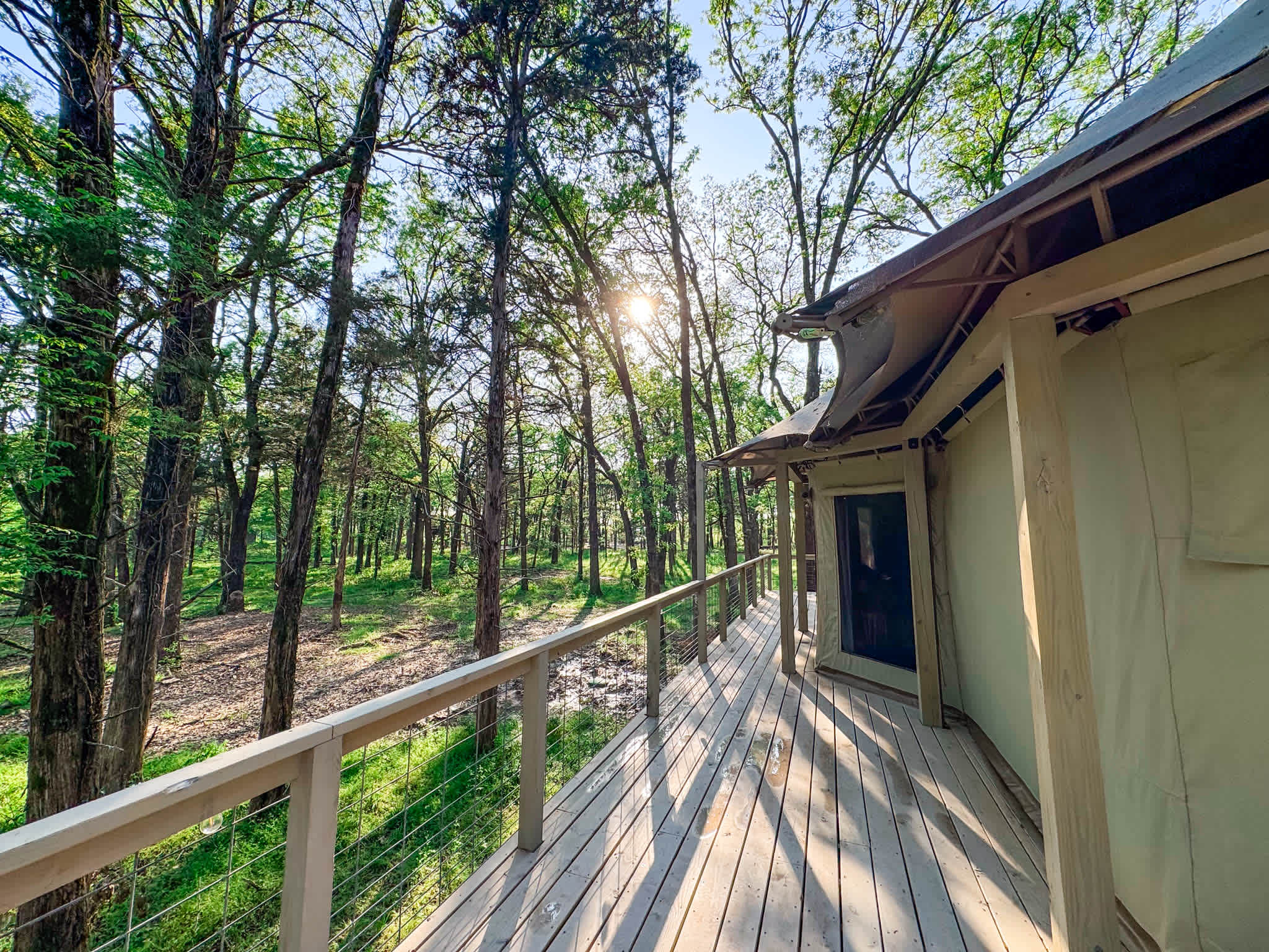 Luxury Glamping in Texas Woods