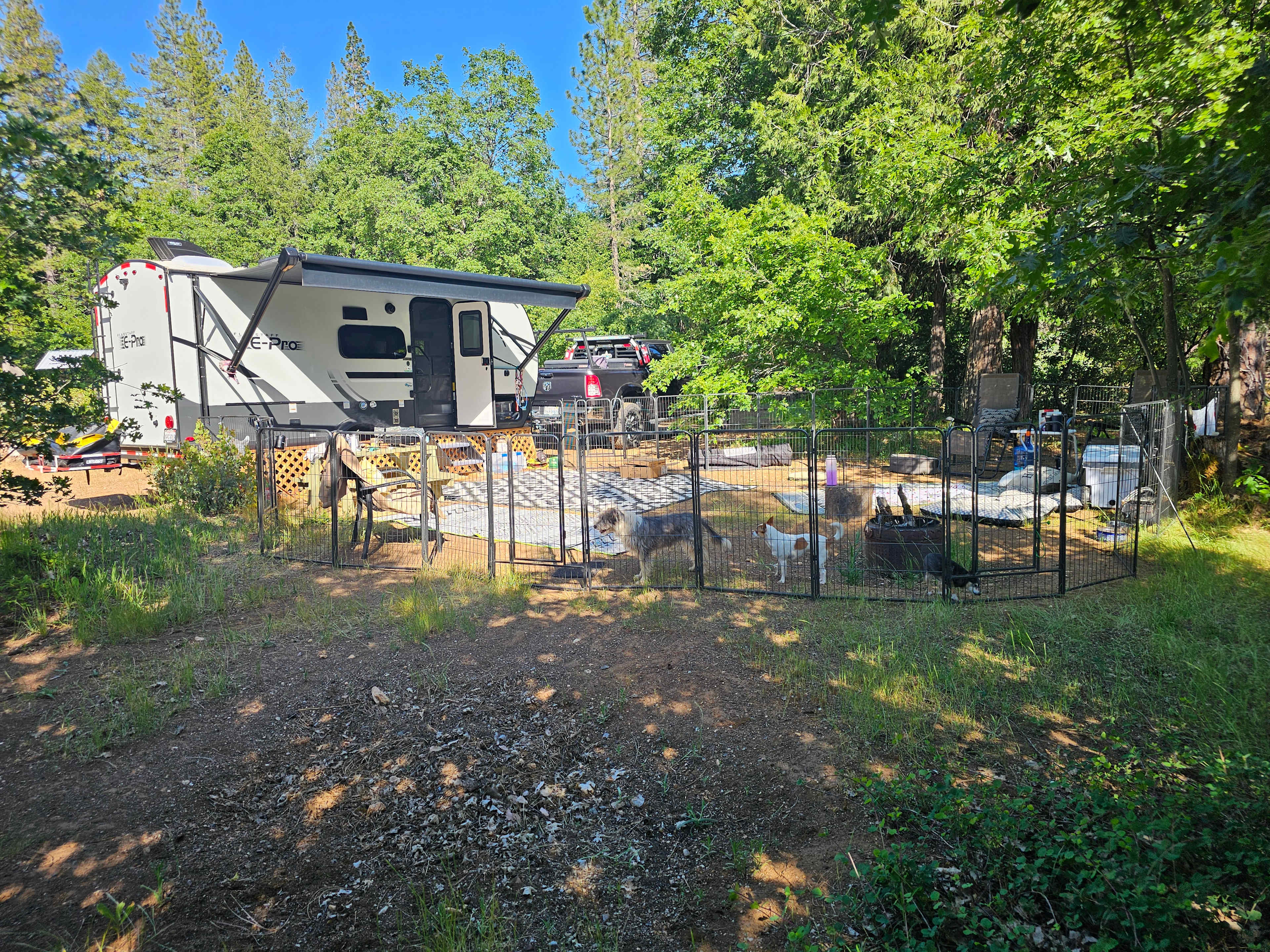 Picture of the site