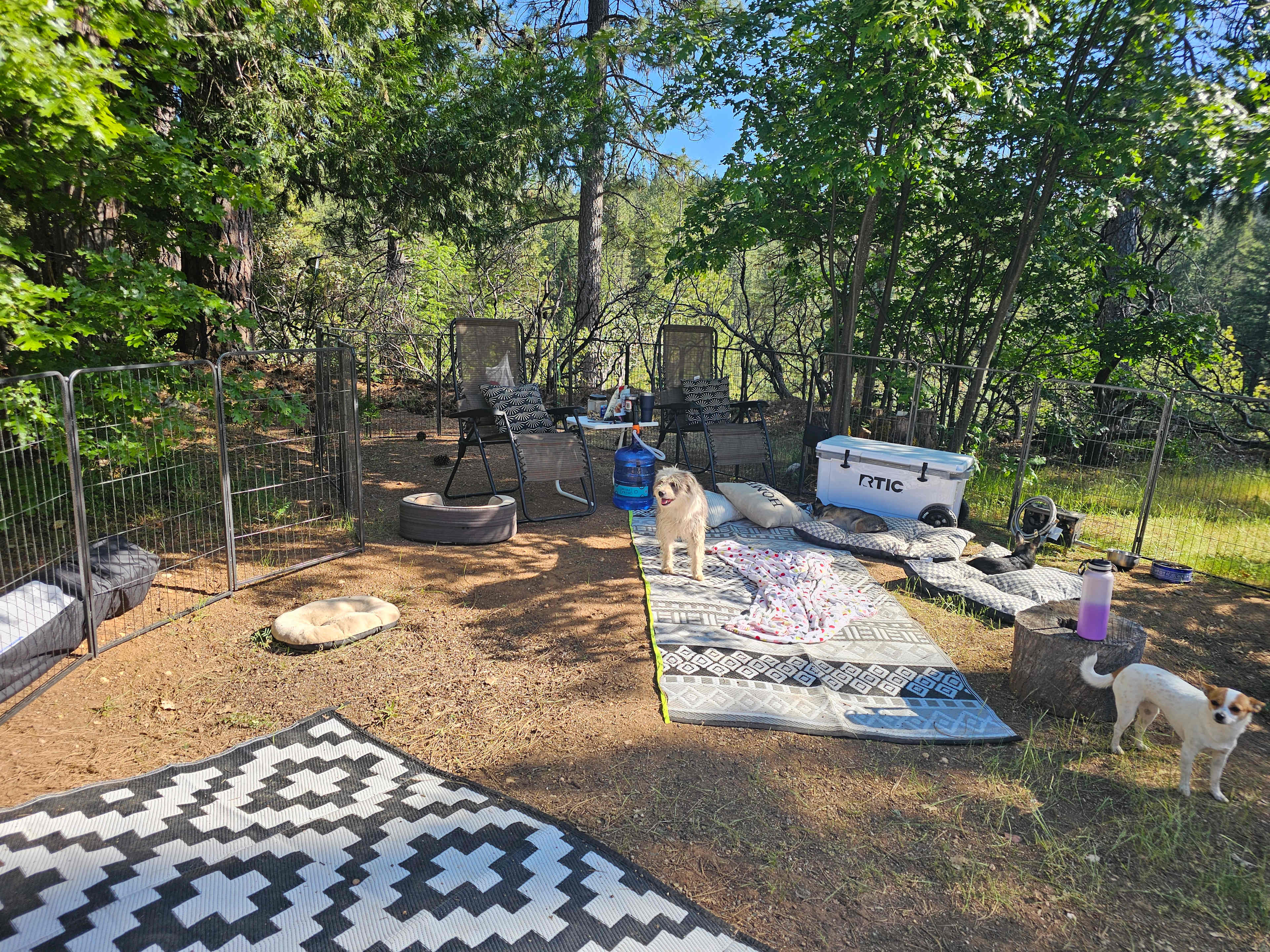 Picture of the site