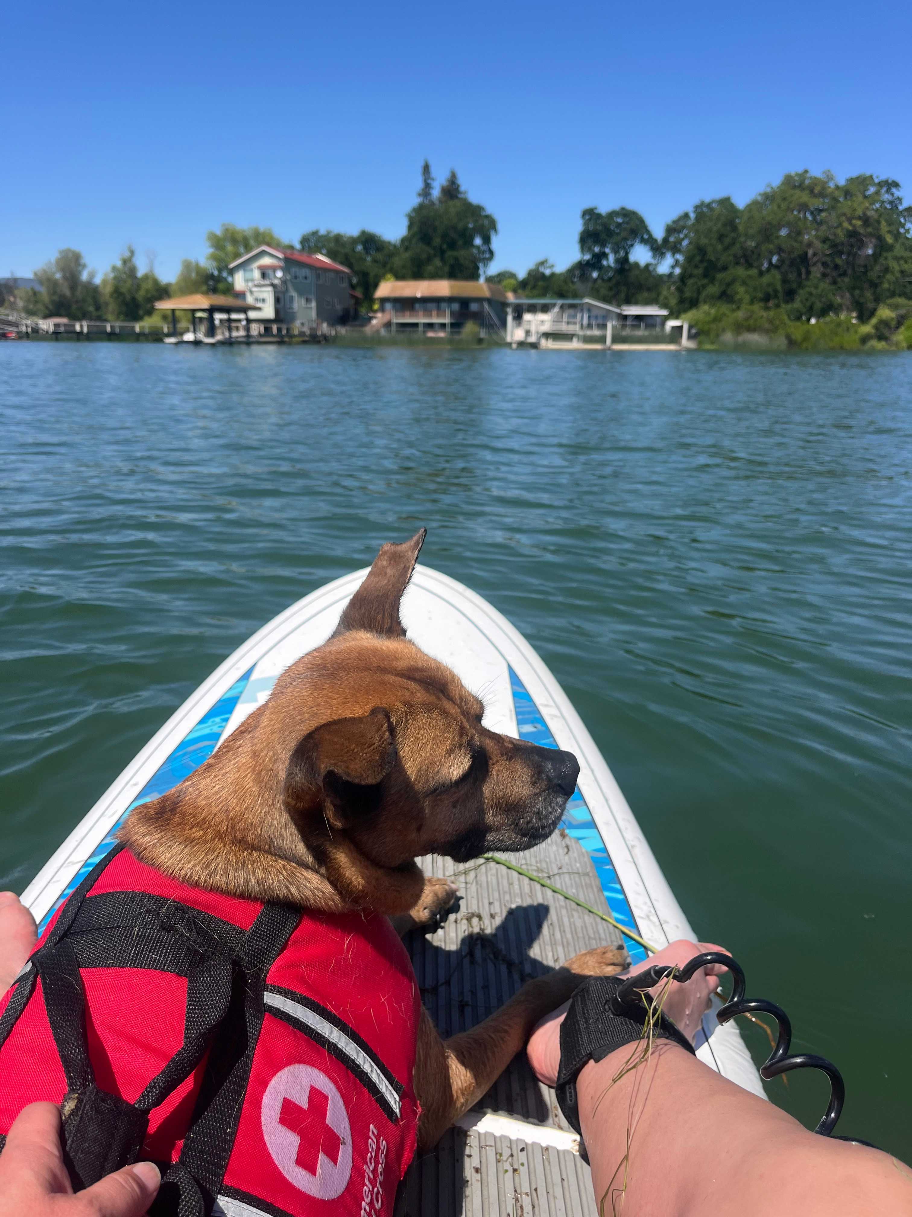 Paddleboard time on the lake!