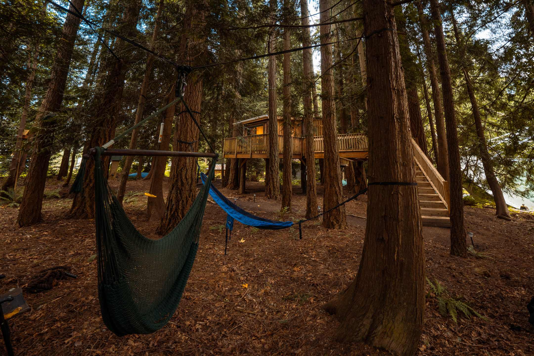 The Perch