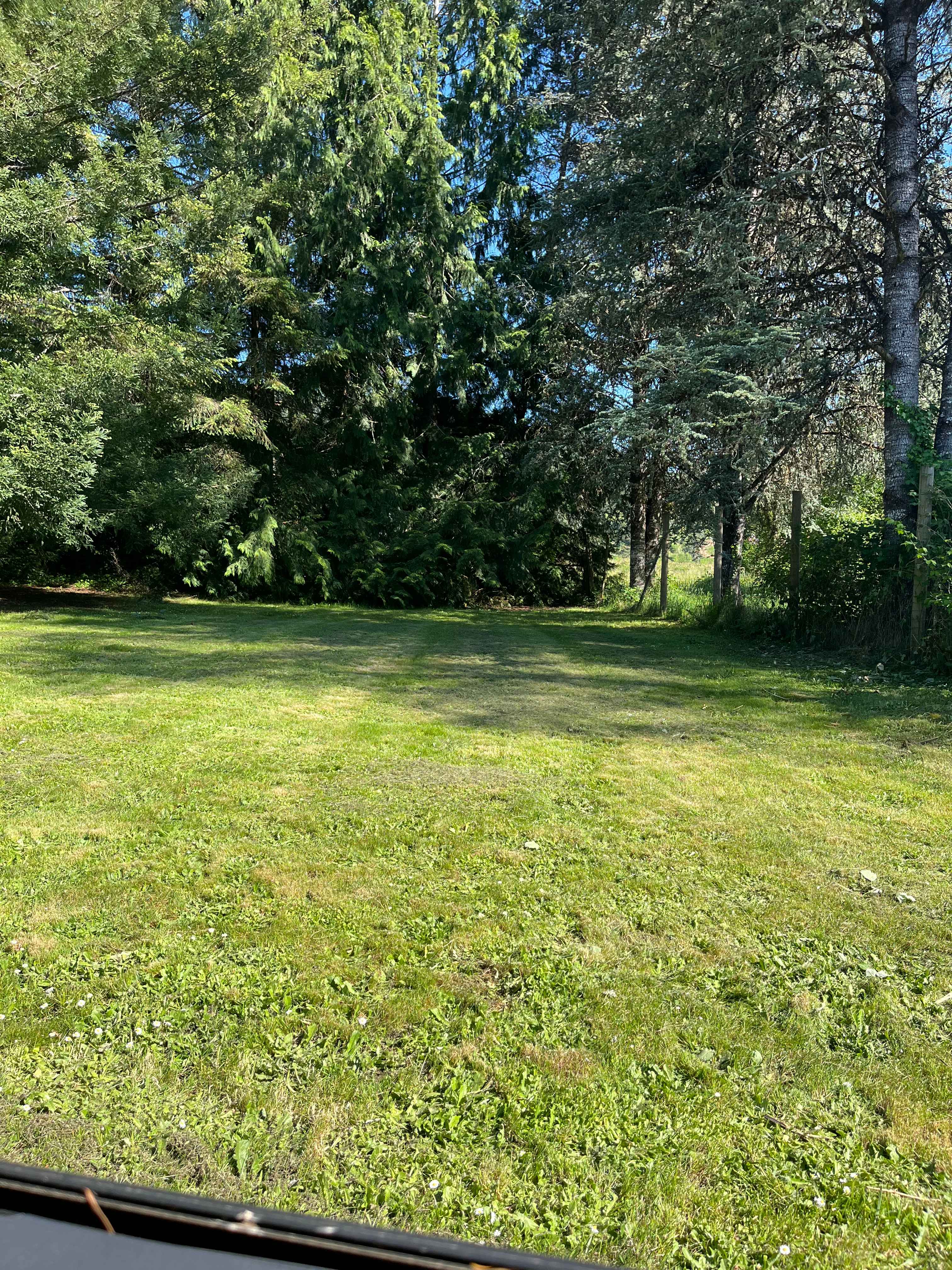 Bear Alley Campground