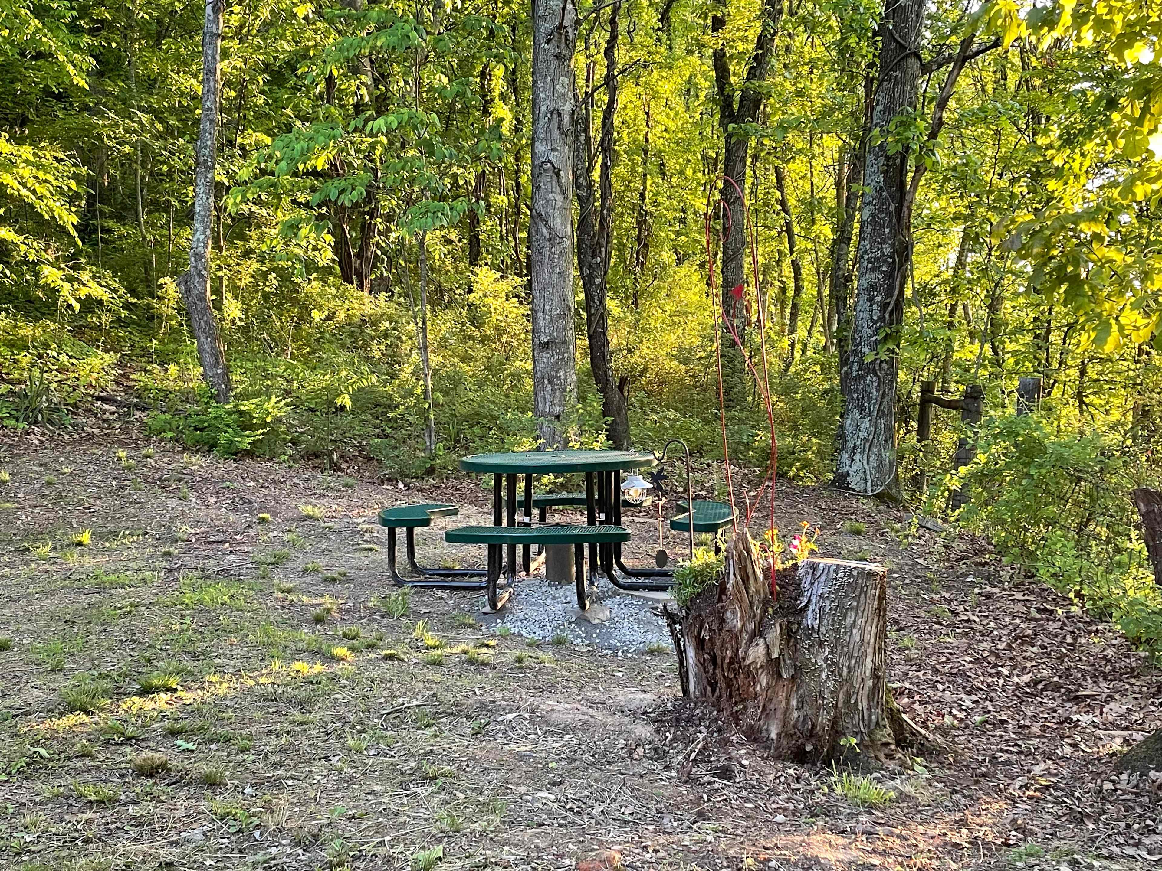 Picture of the site