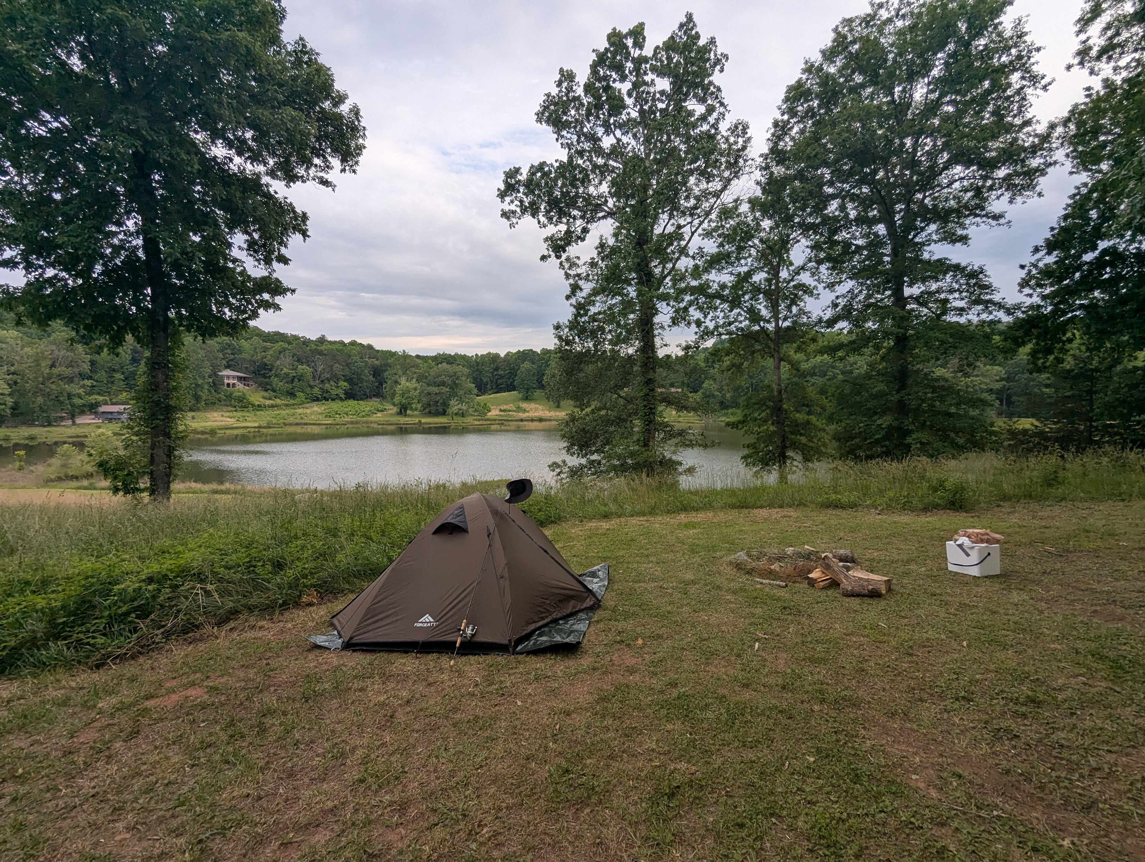 Picture of the site