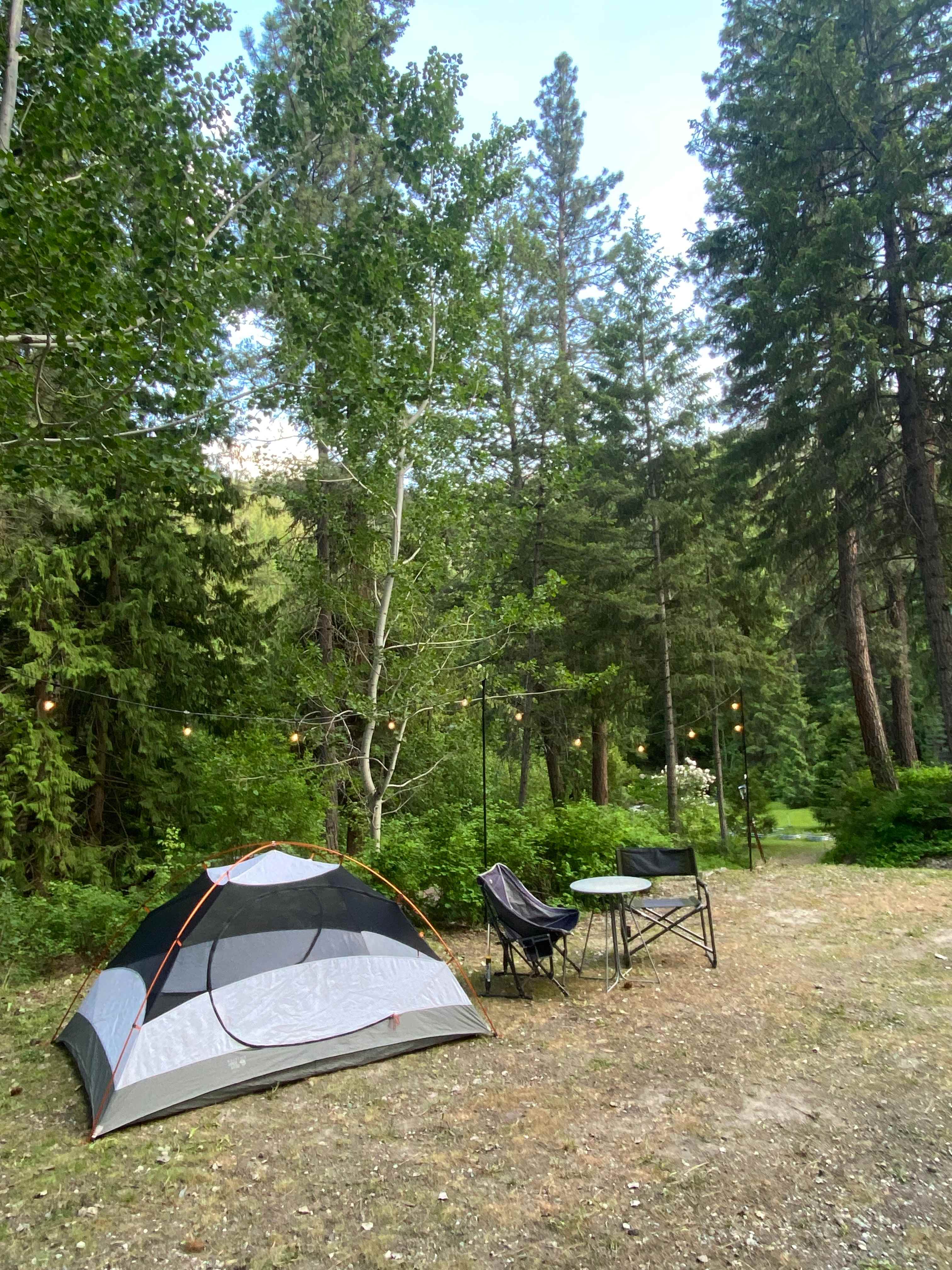 Carlton Trail Hound Campsite+Trails