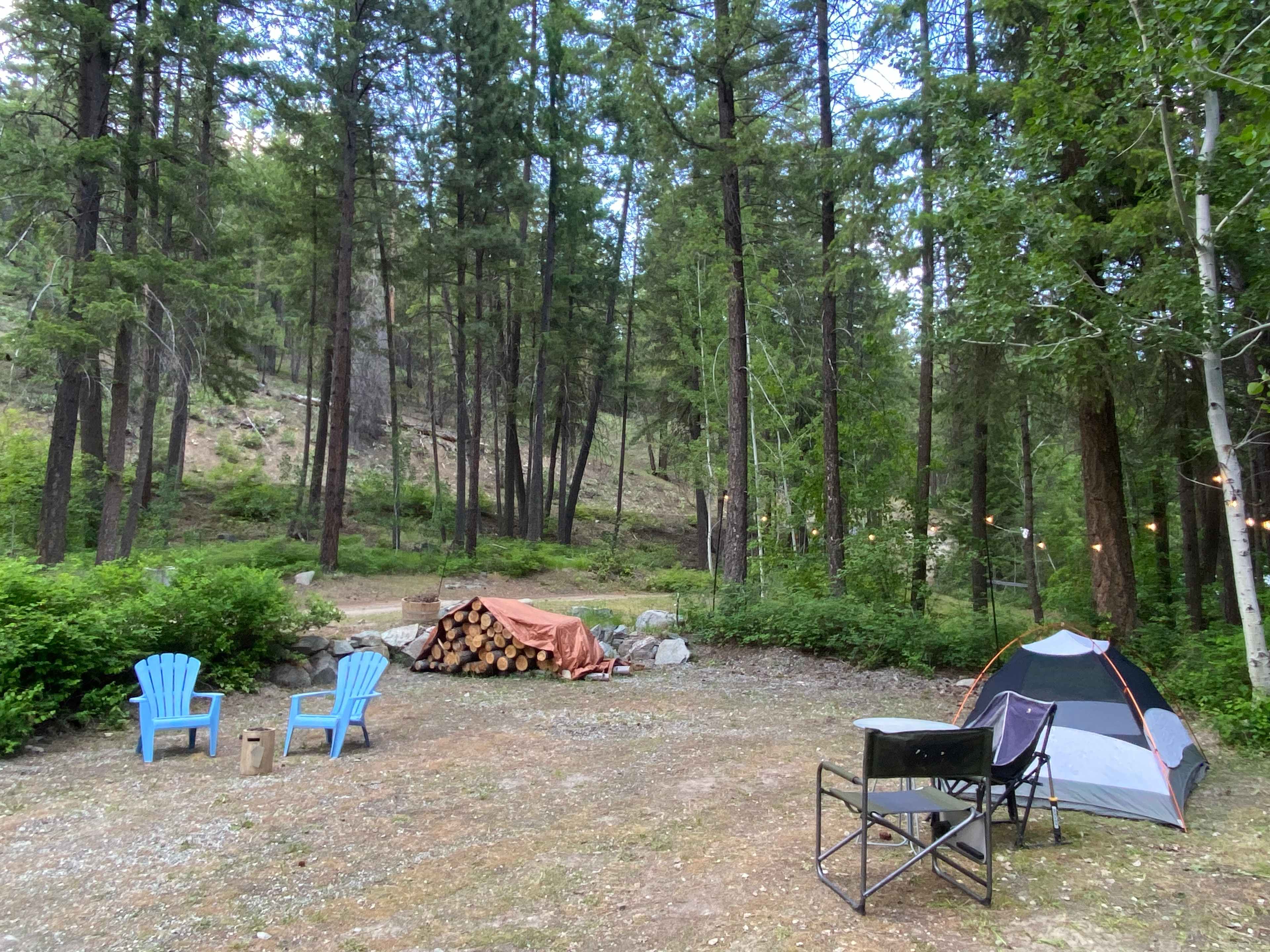 Carlton Trail Hound Campsite+Trails