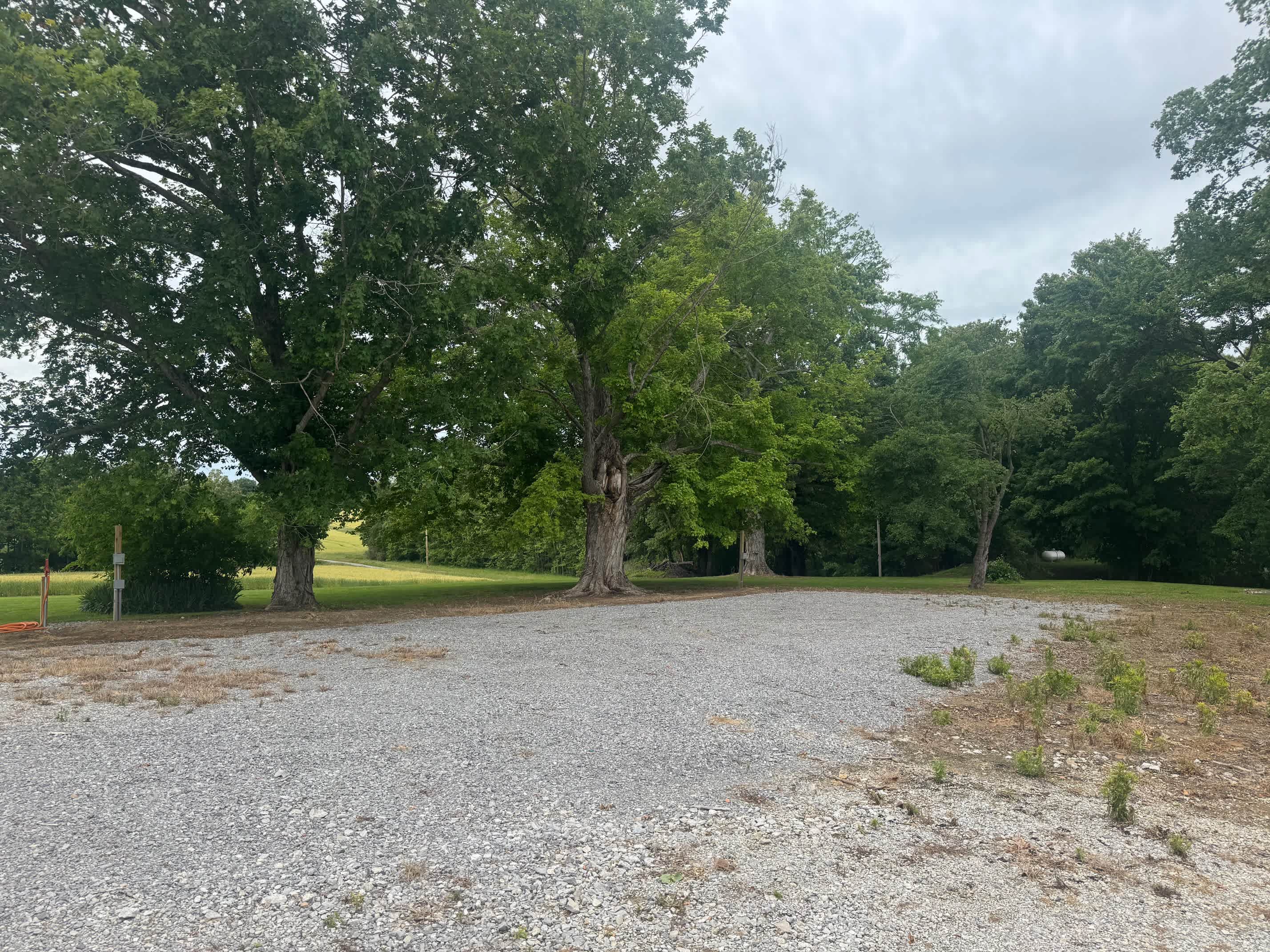 Meadow Ridge Farm