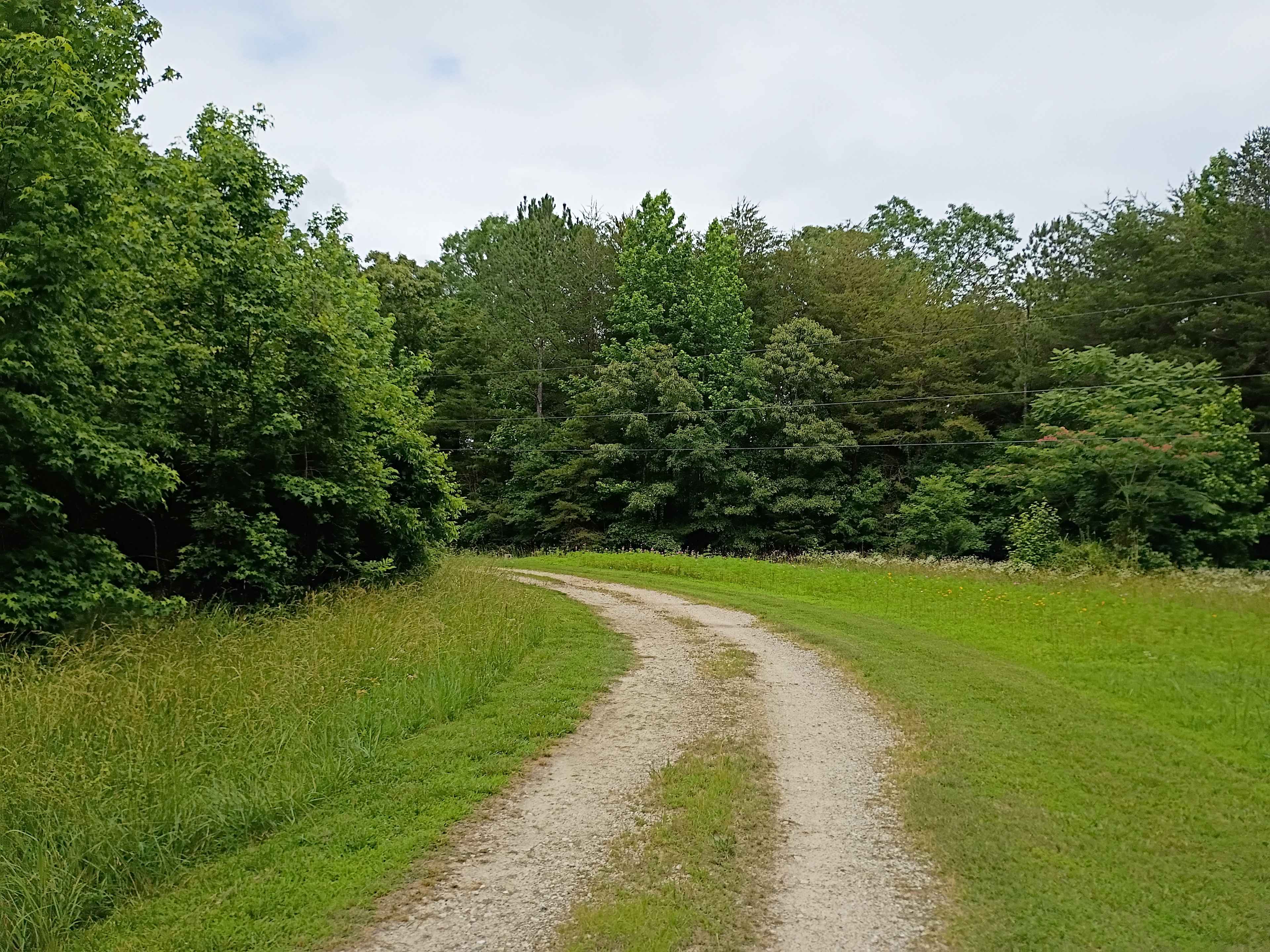 Entrance driveway