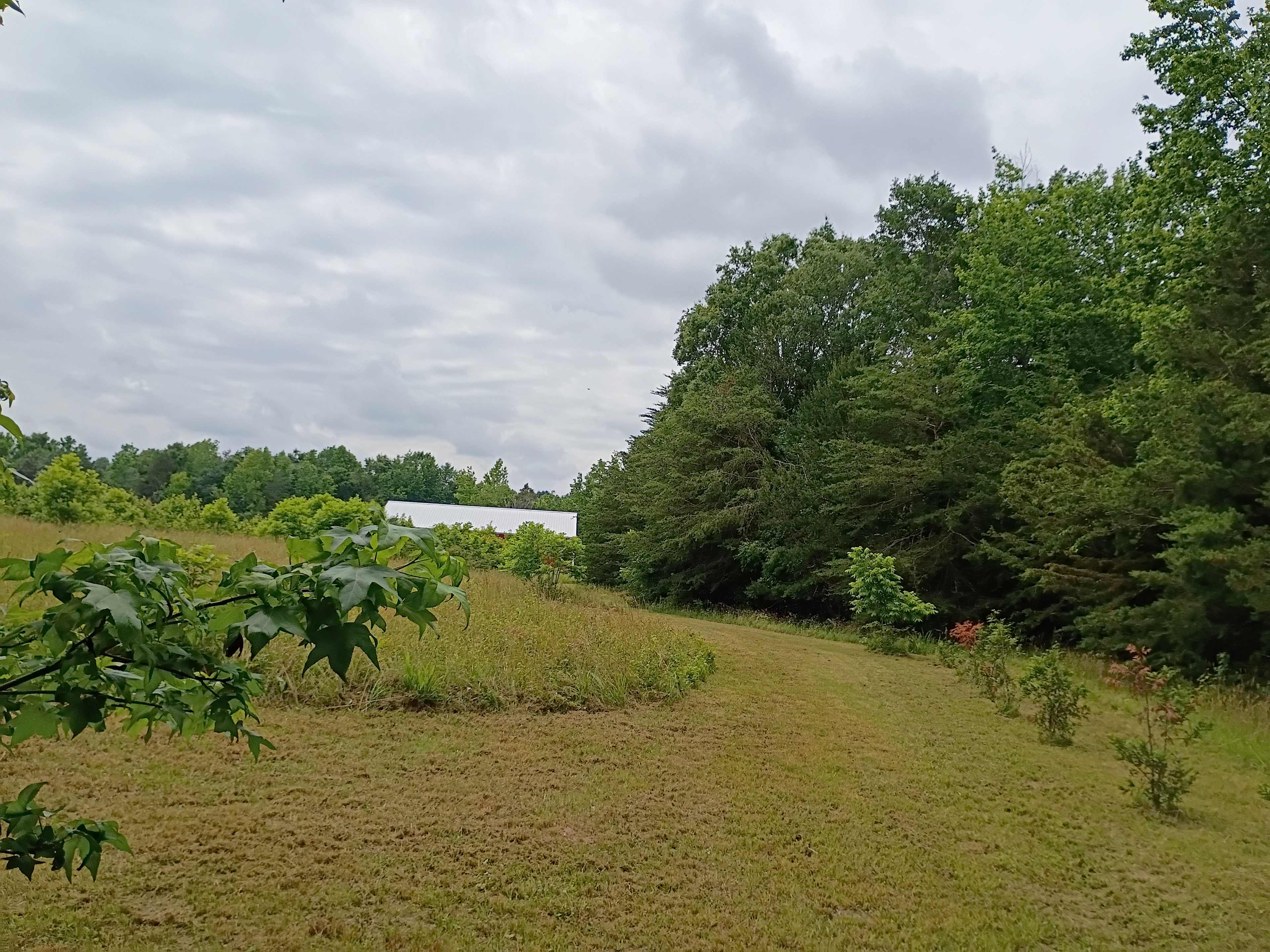 Highway 417 Acres