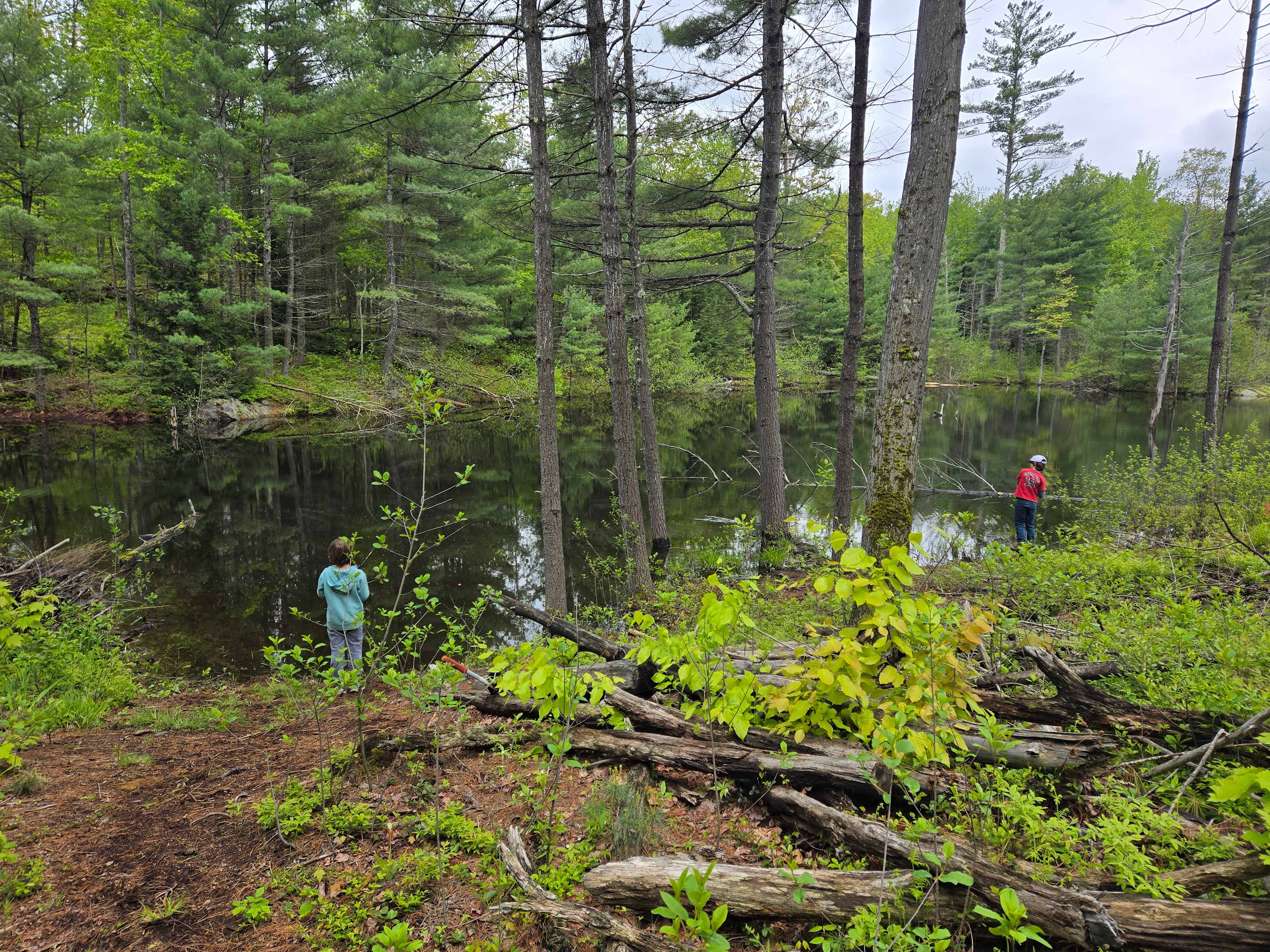 Picture of the site