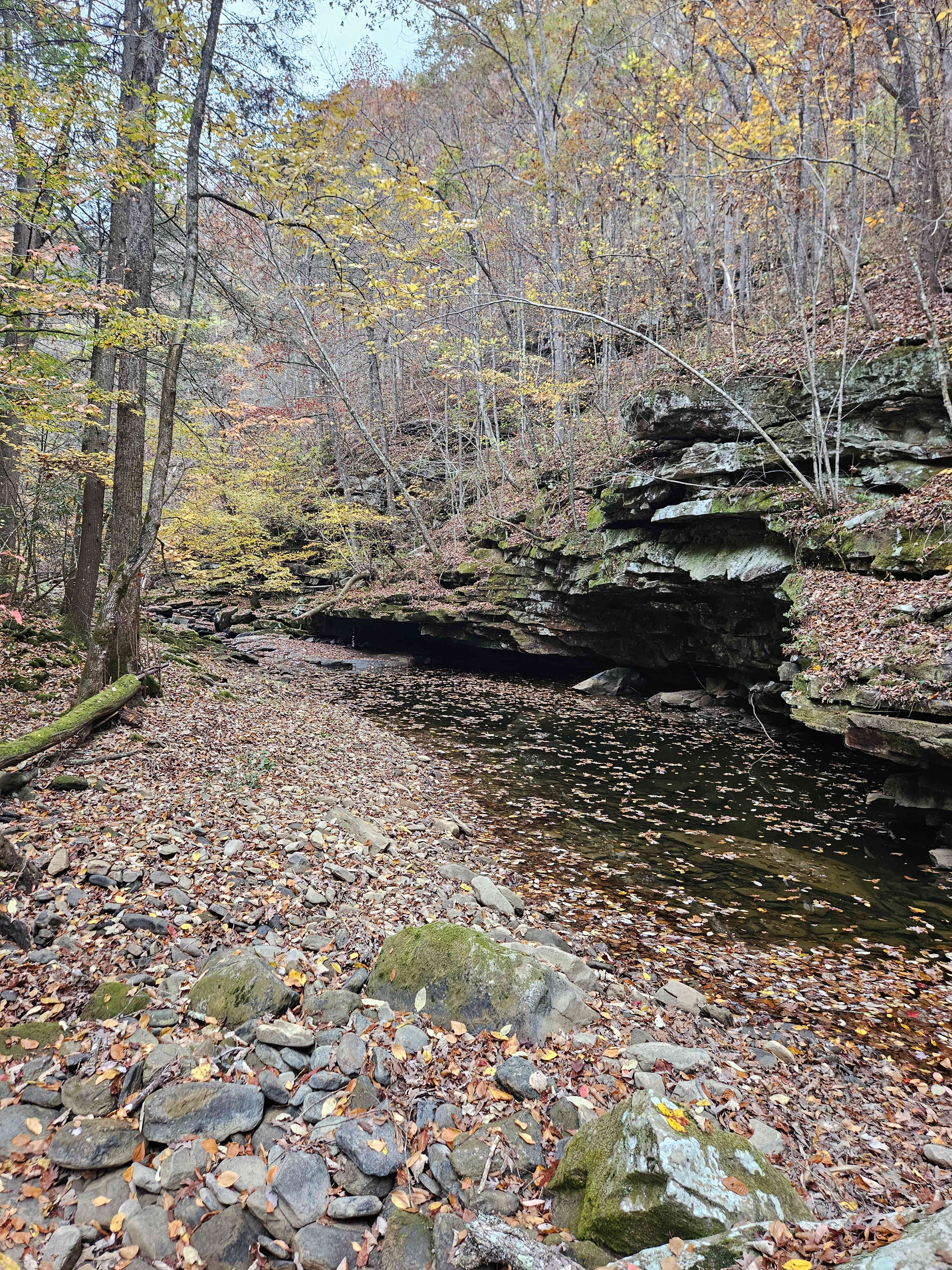 The Land at Roaring Creek