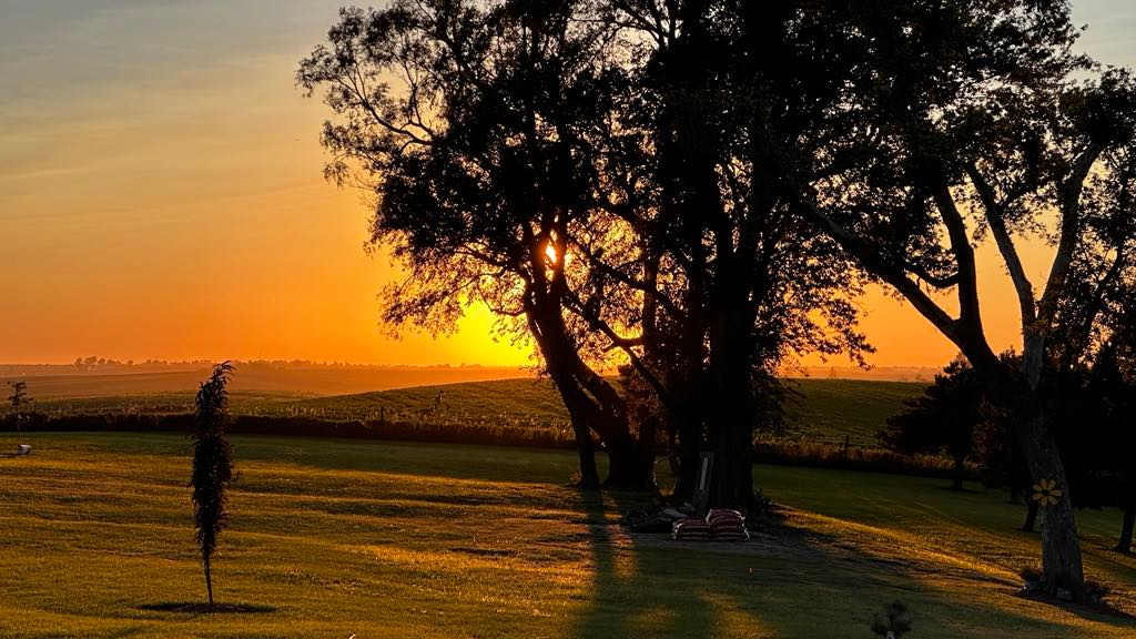 Sunsets are our favorite time of the day at TJ's Ranch!