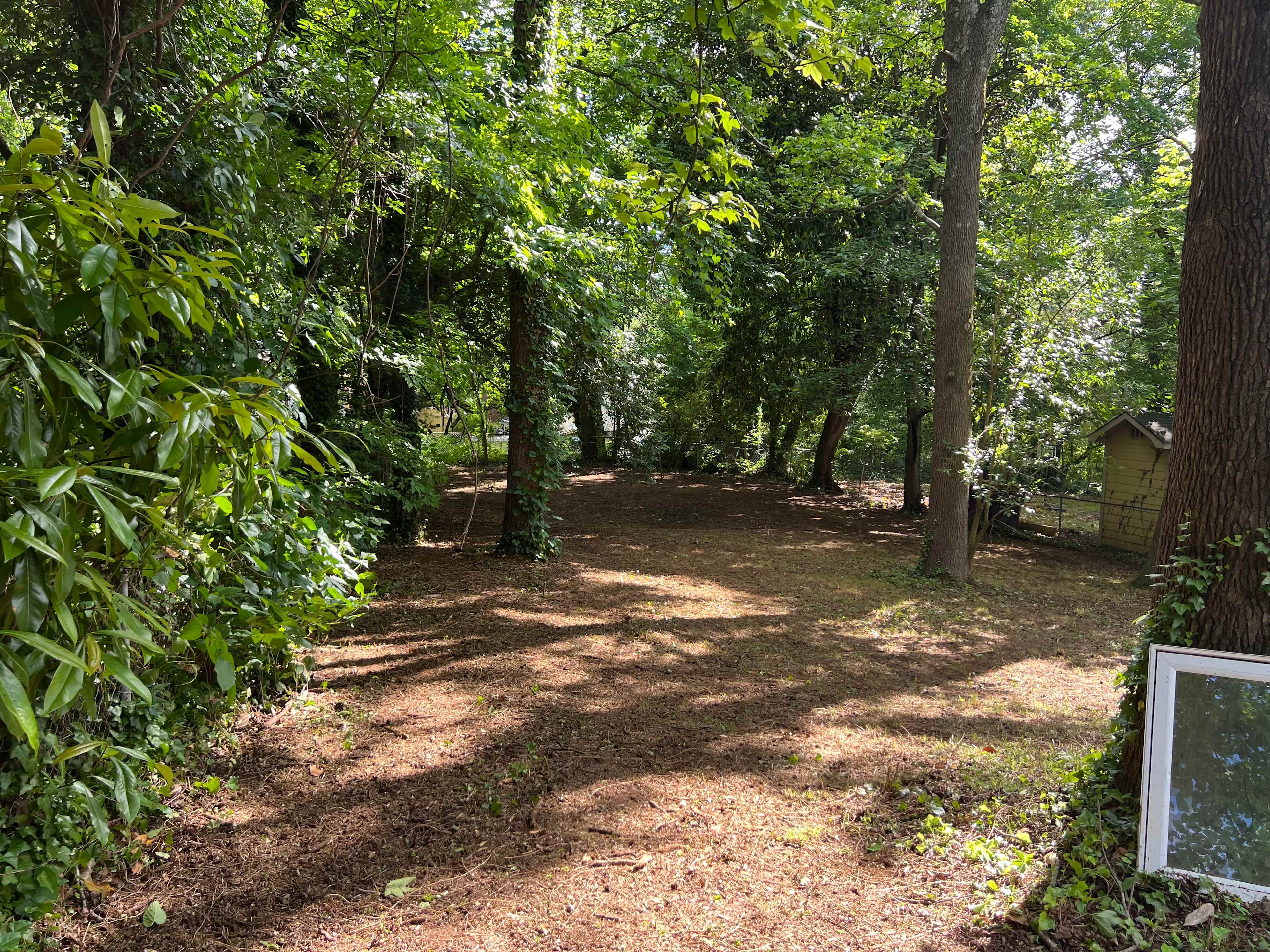 Quiet Corner: Primitive Camp