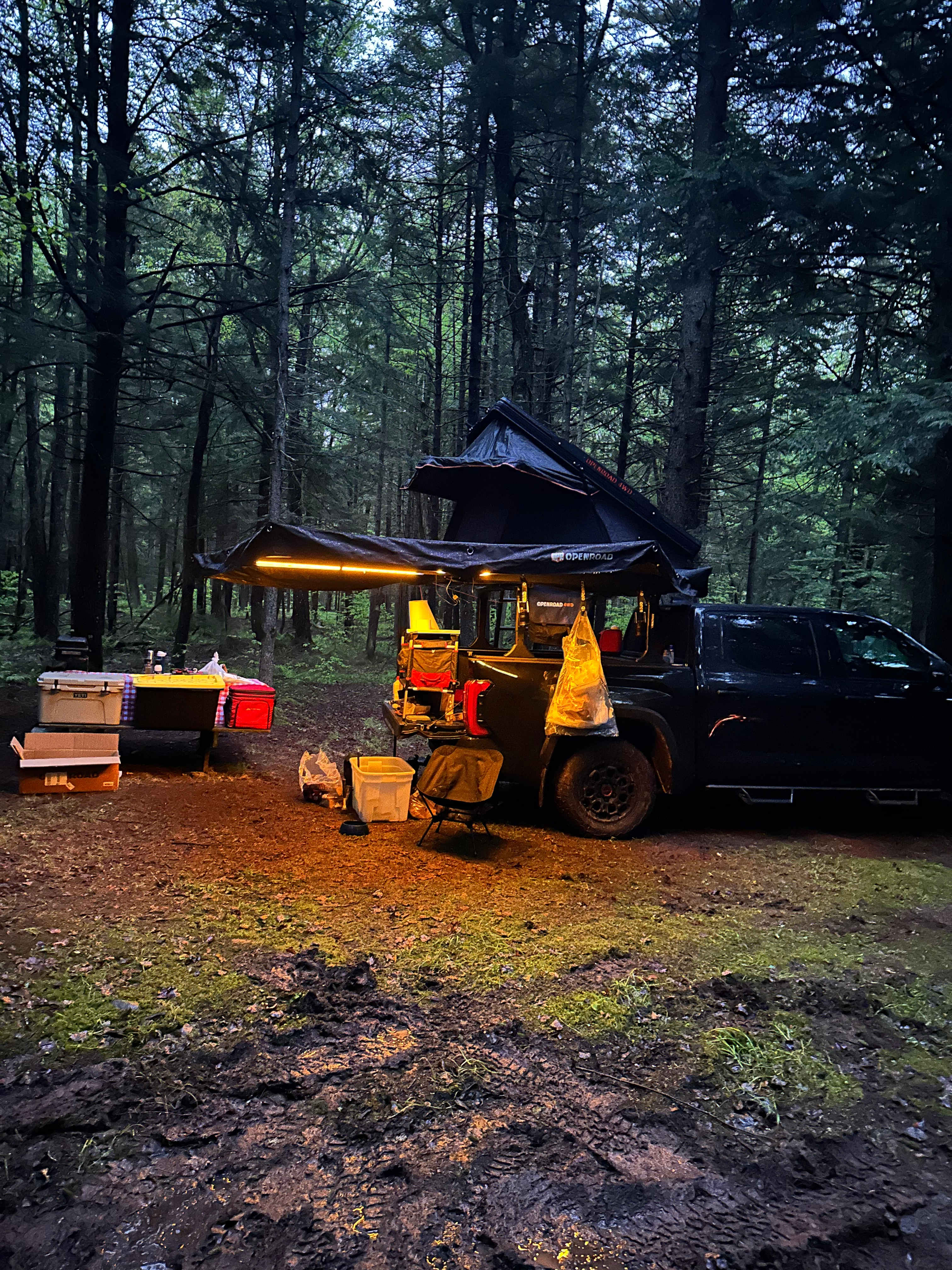 Picture of the site