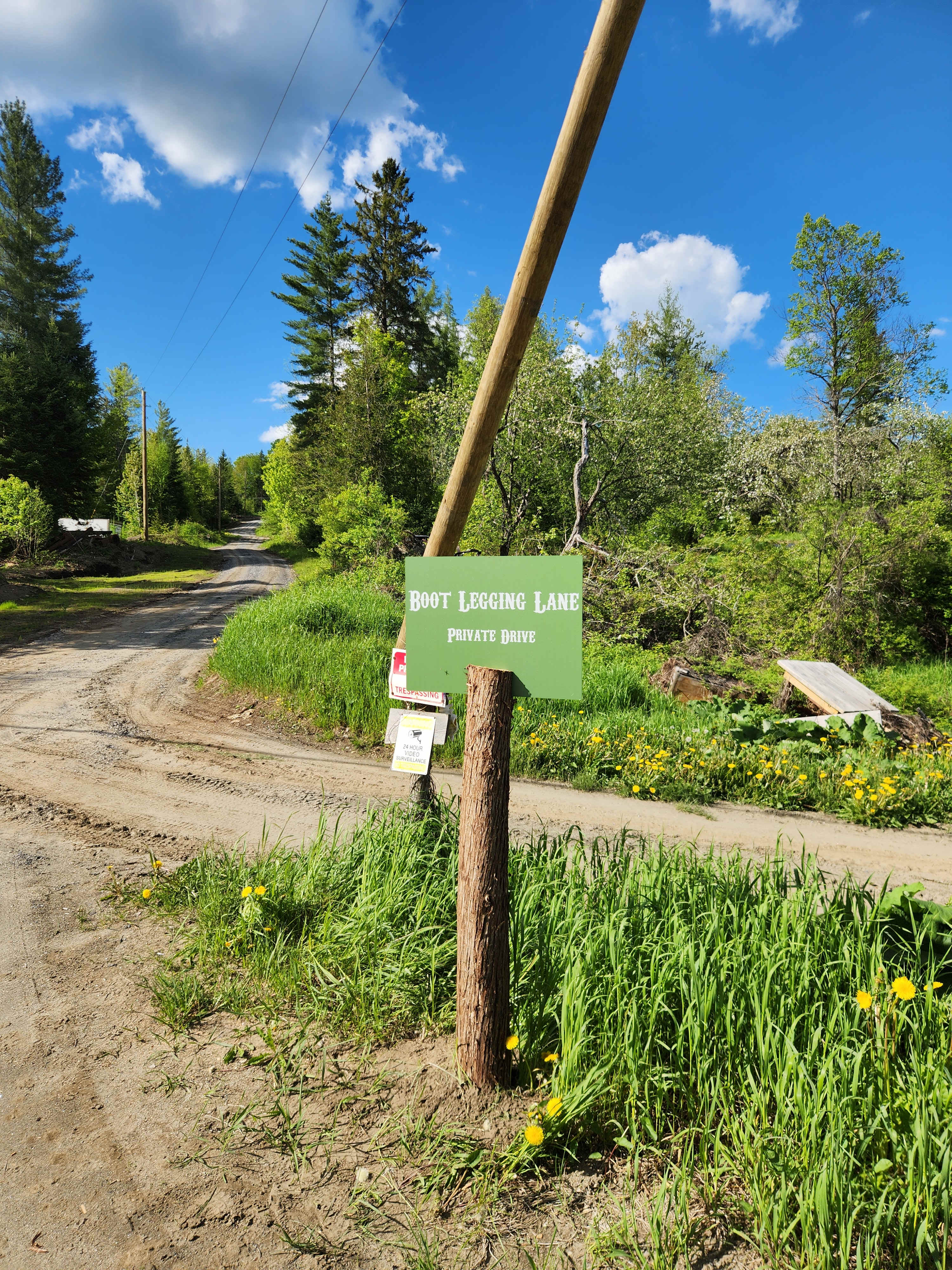 Picture of the site
