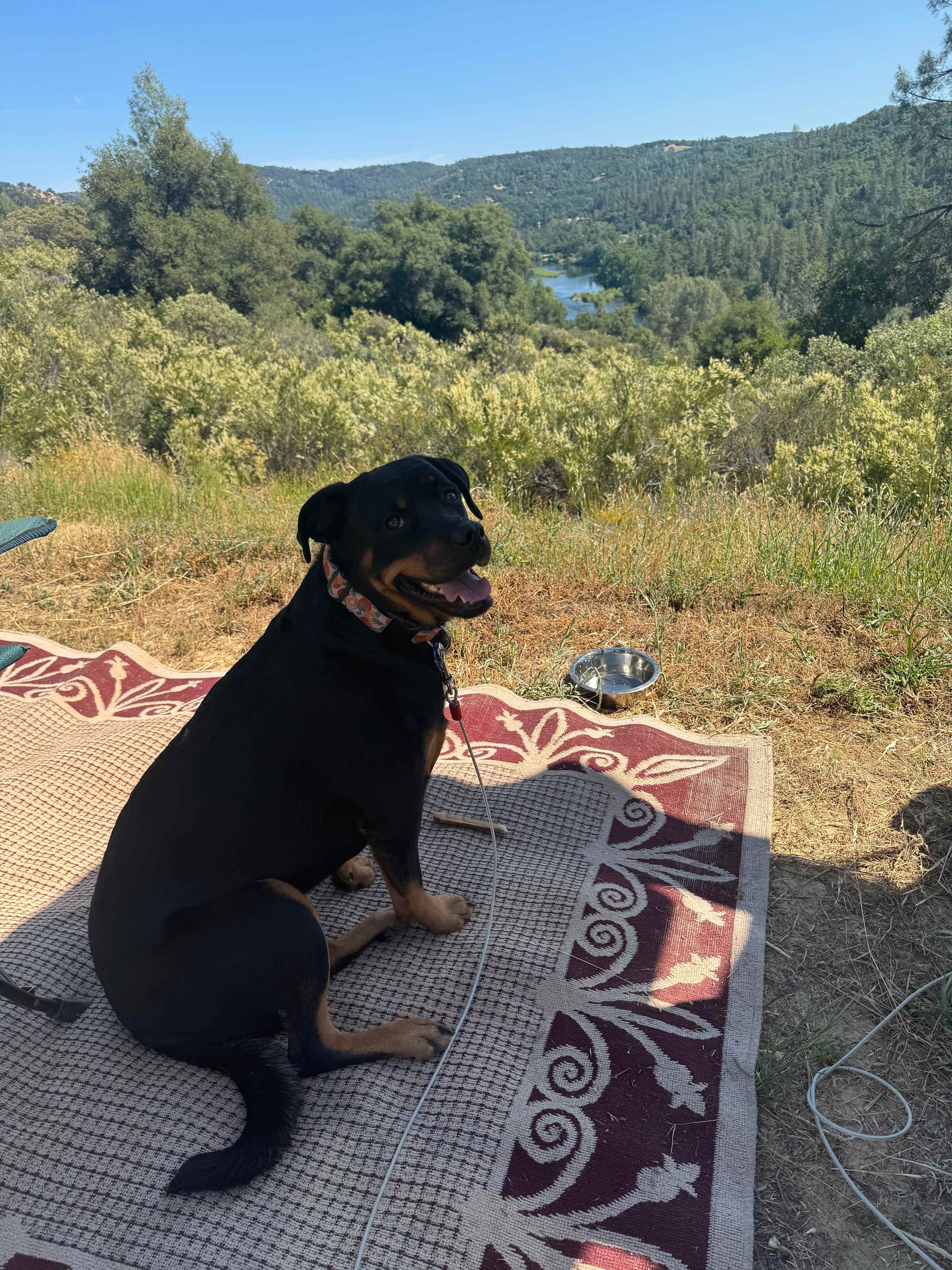 Coloma Hilltop 27 Acre w/Riverview