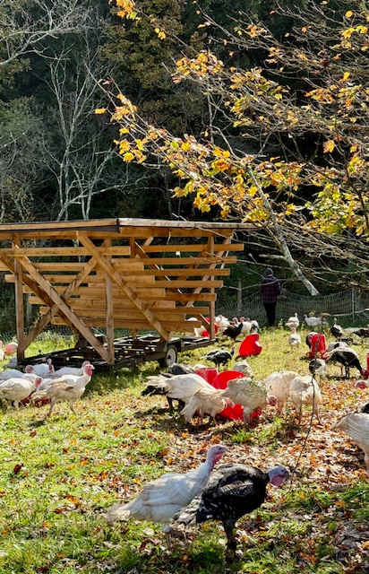 Treehouse Farm Adventure