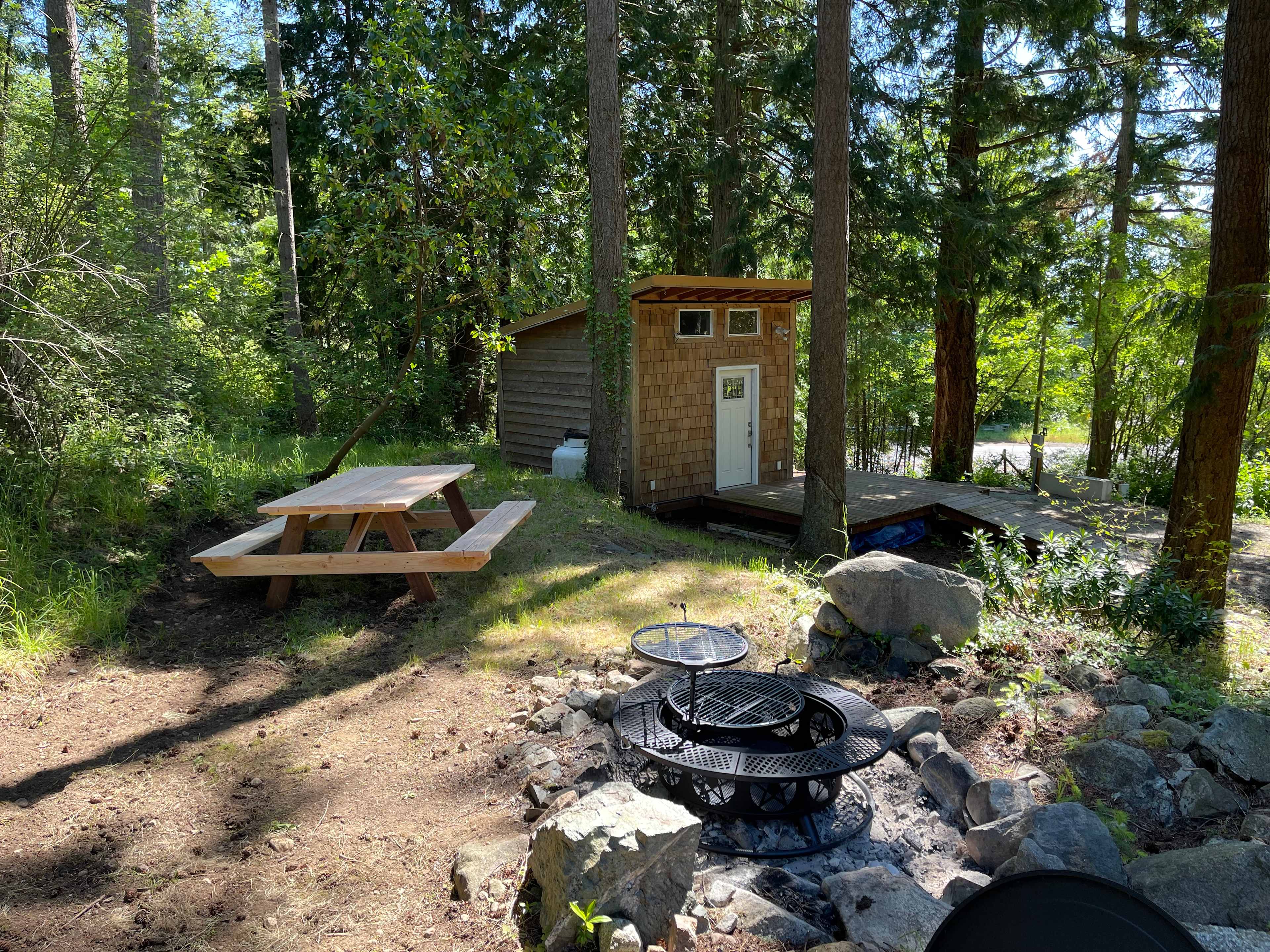 Picture of the site