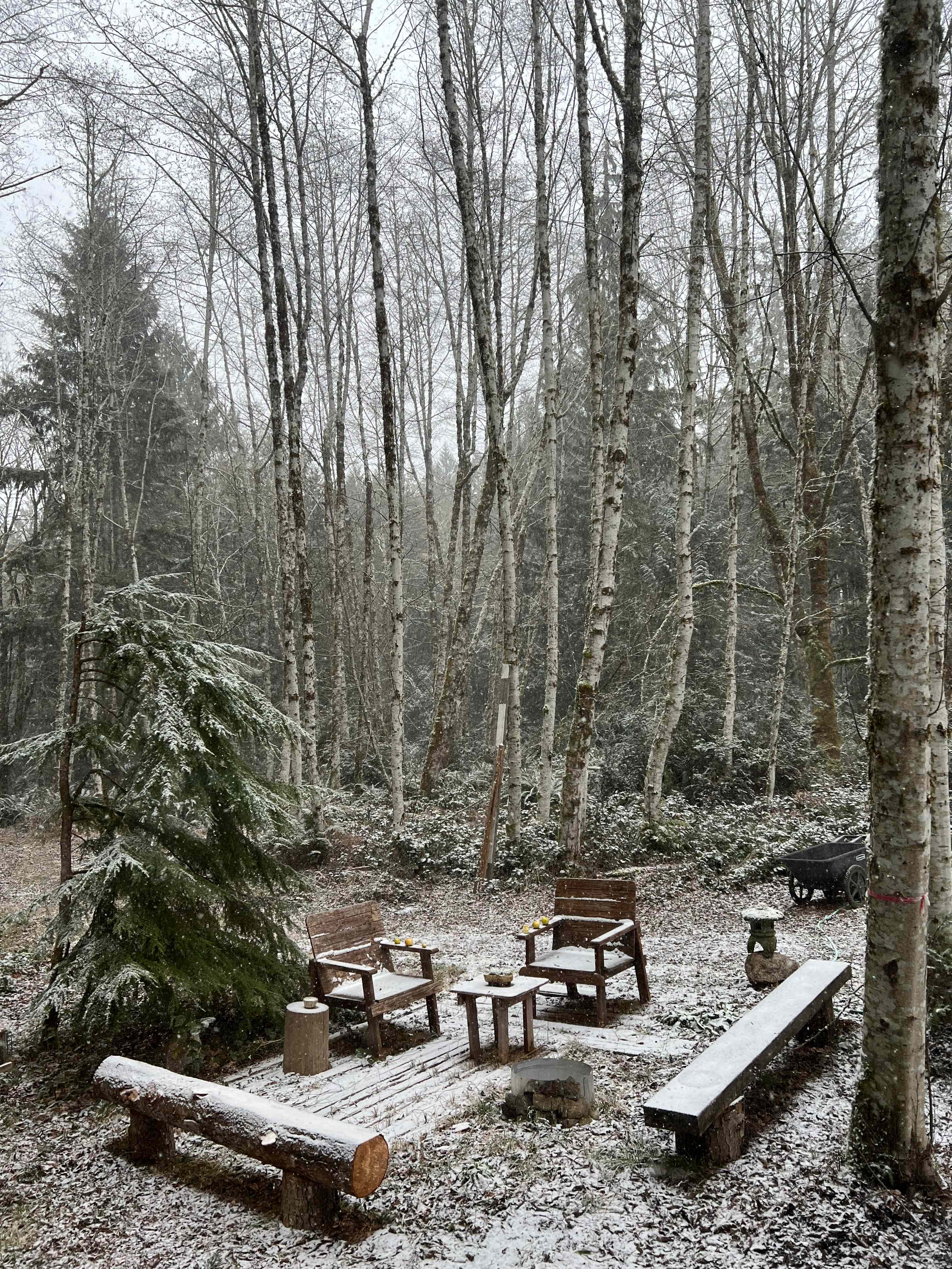 Neighborwood: An Eco Retreat