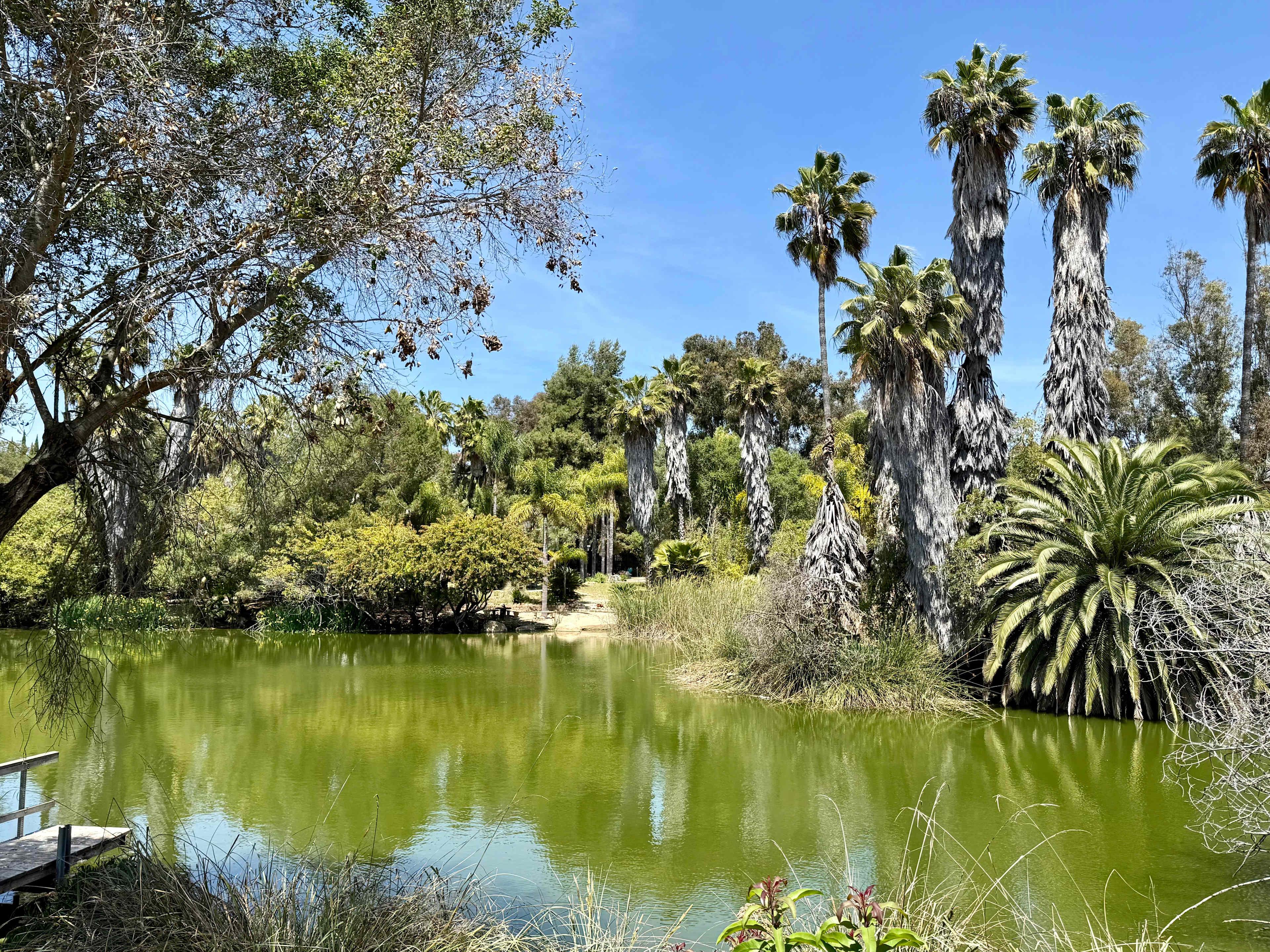 Hidden Waters