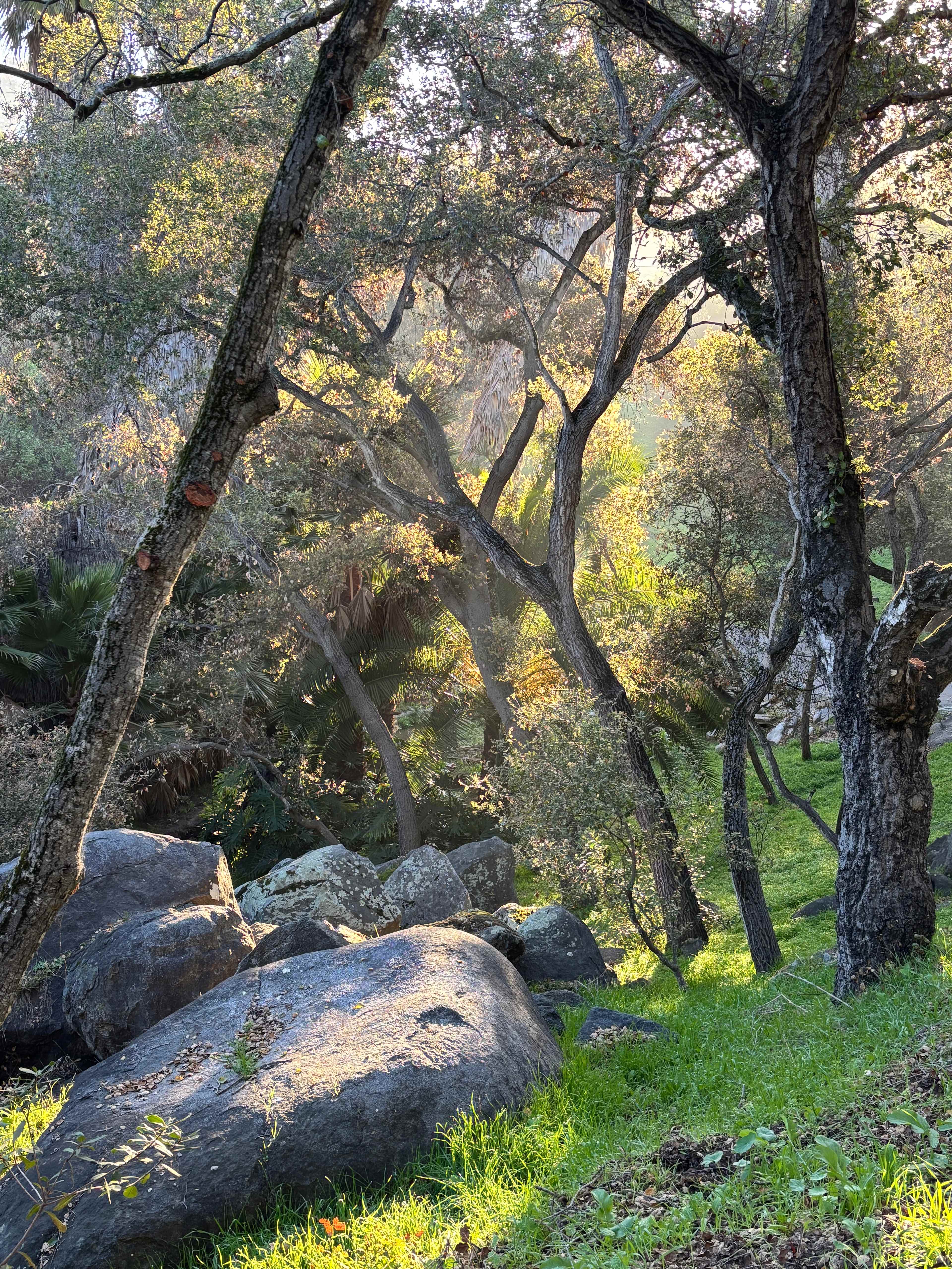 Hidden Waters