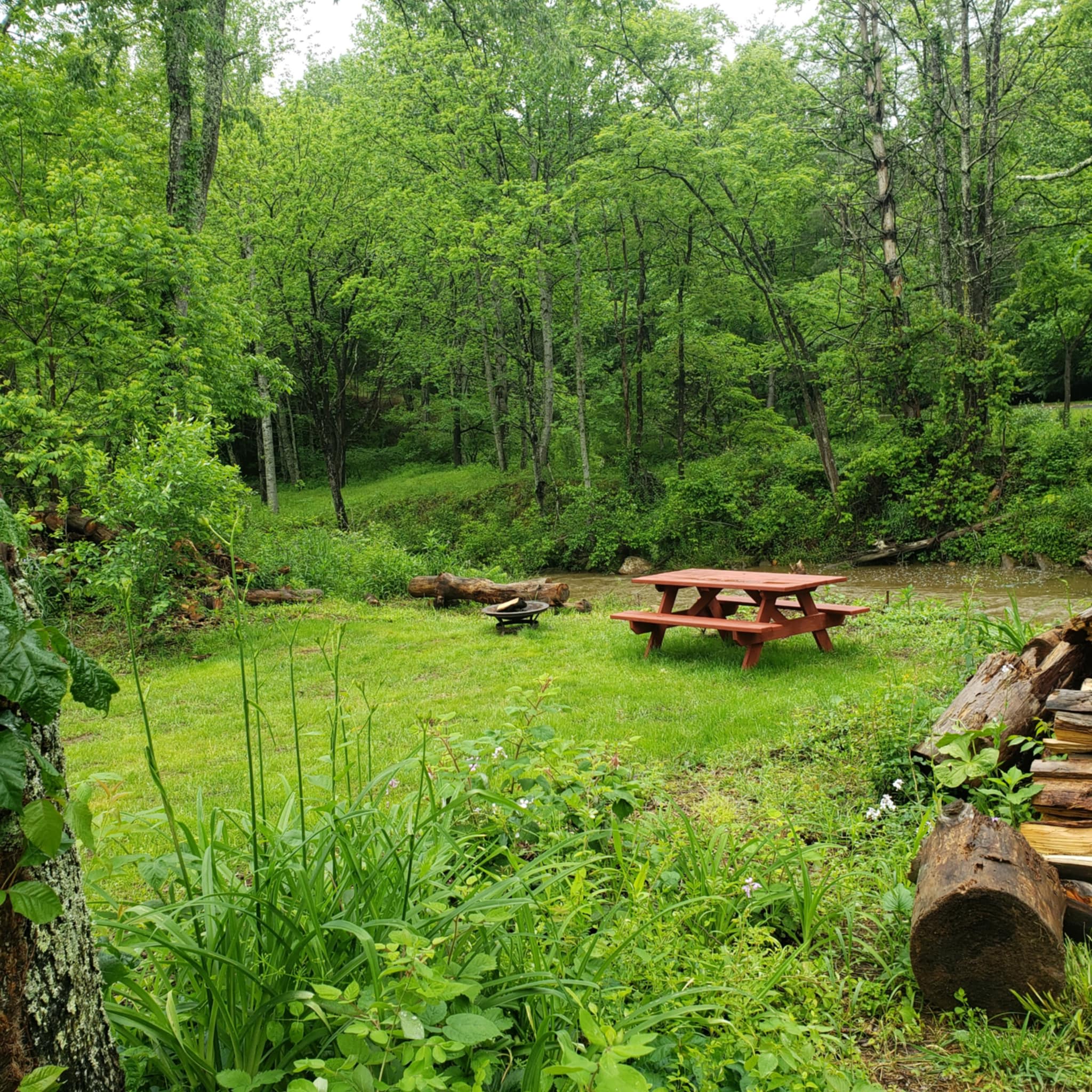 Picture of the site