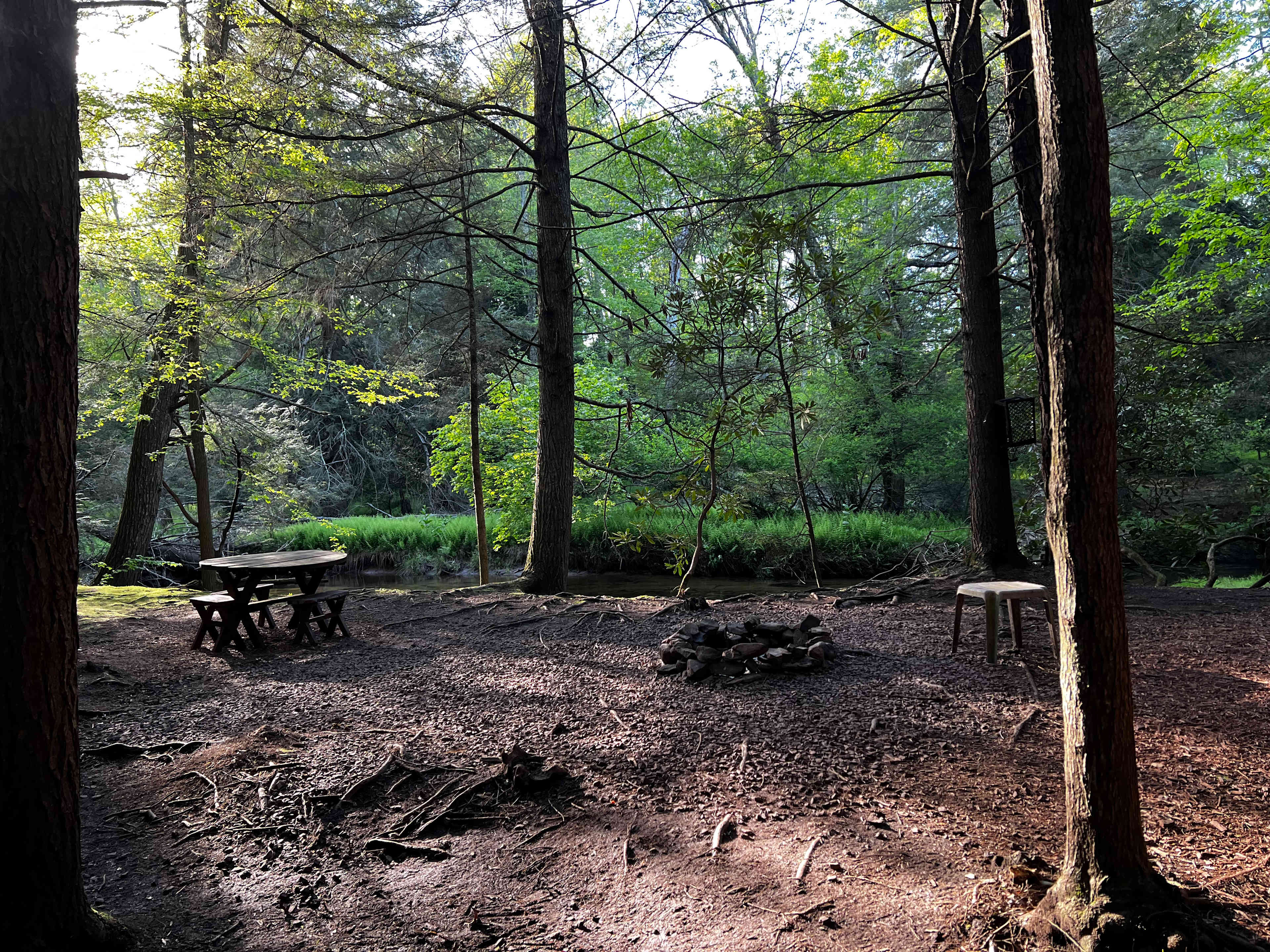 Picture of the site