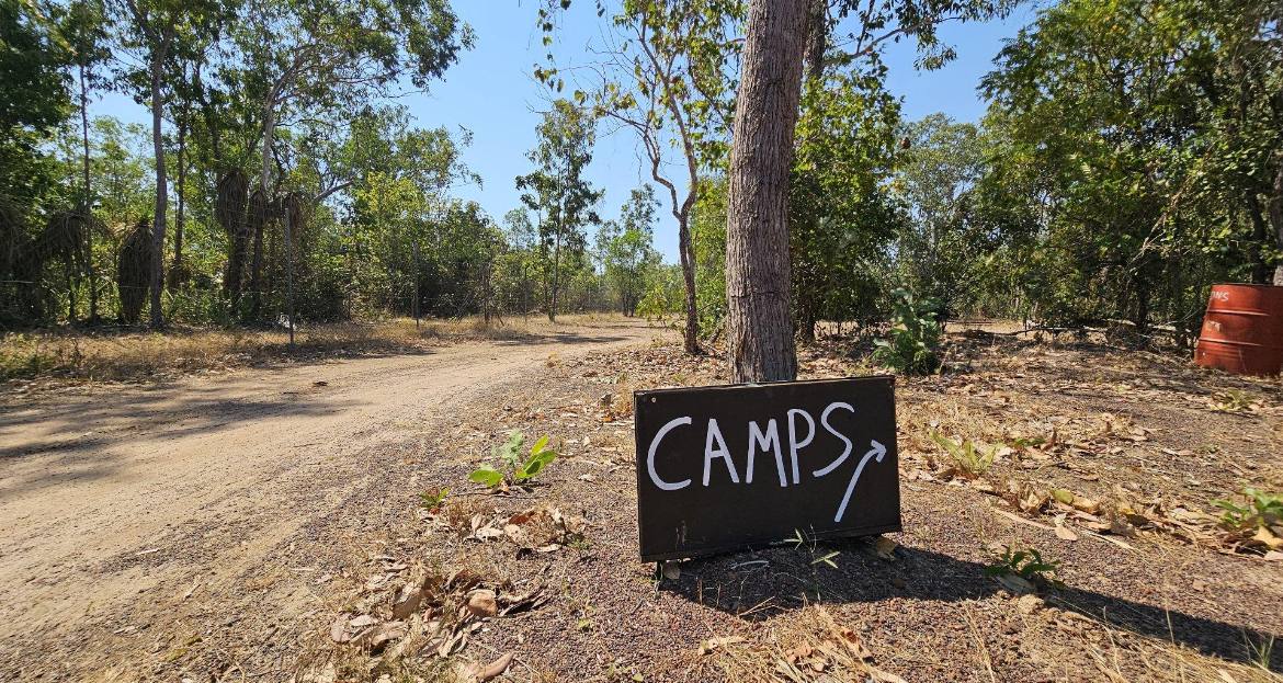 Picture of the site